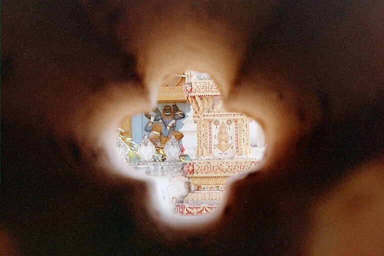 1231.jpg