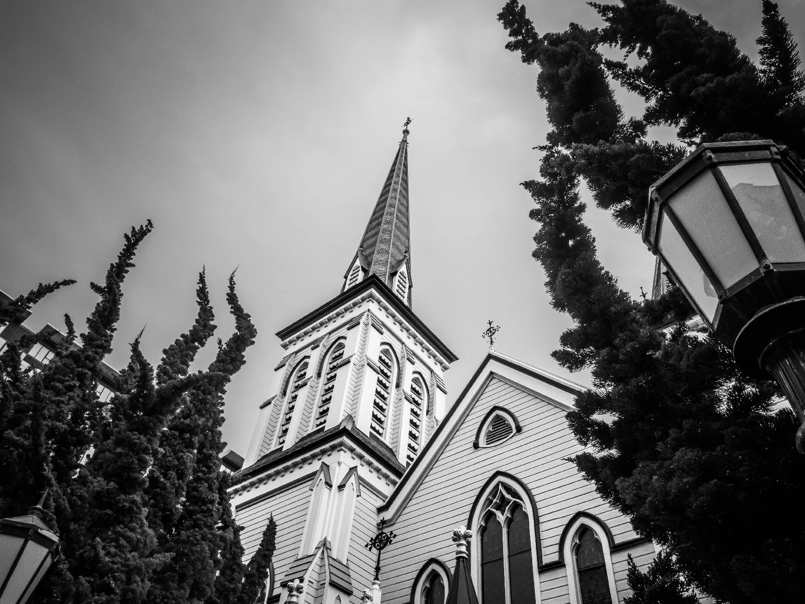 20260807-195.jpg