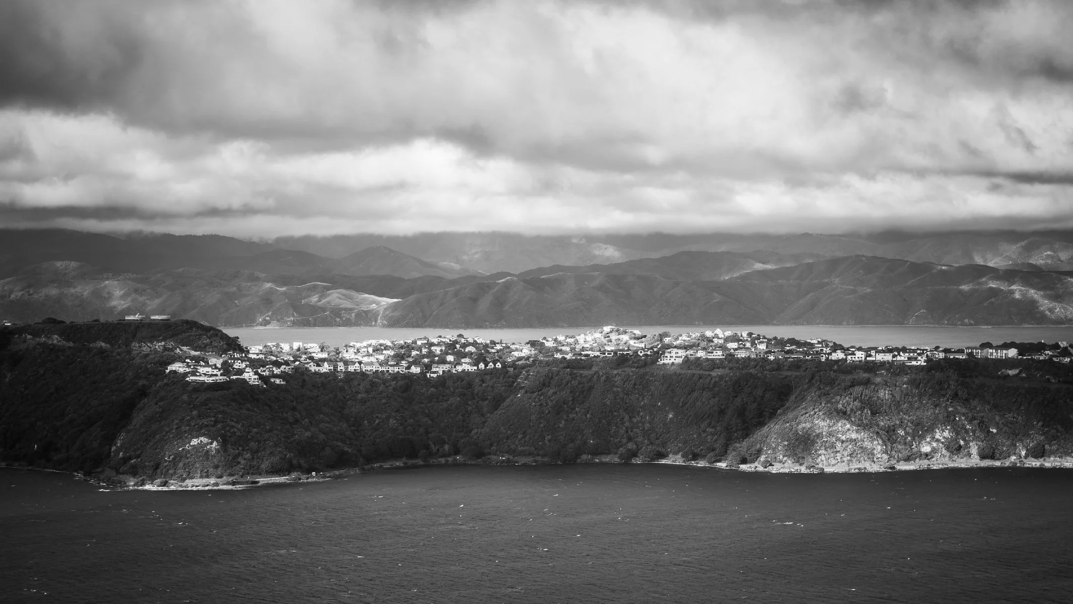 20260809-242.jpg