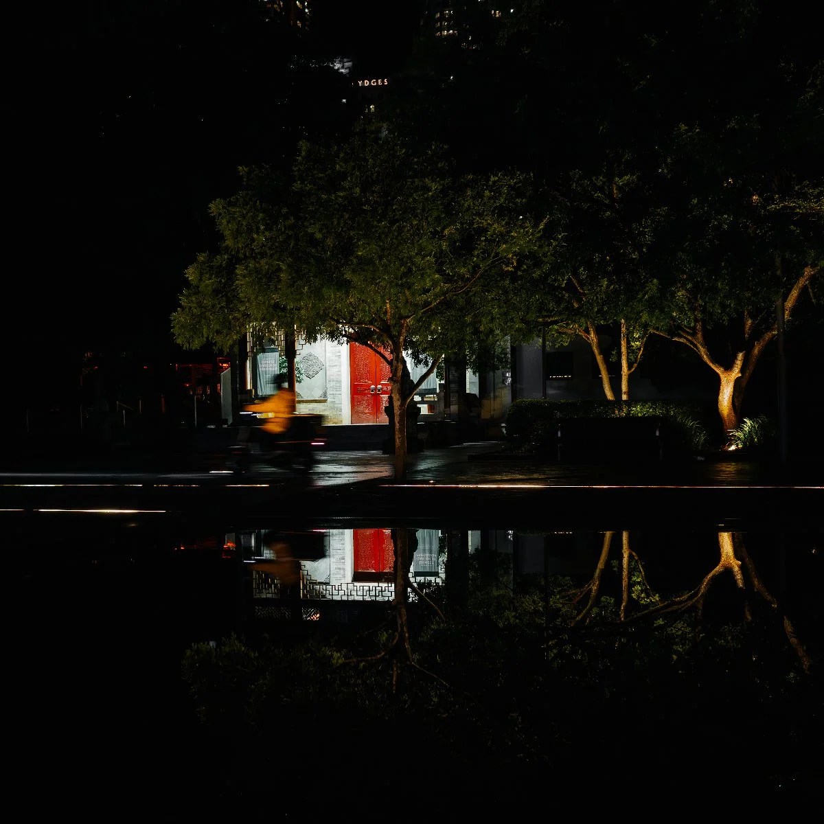 20251031-33.jpg