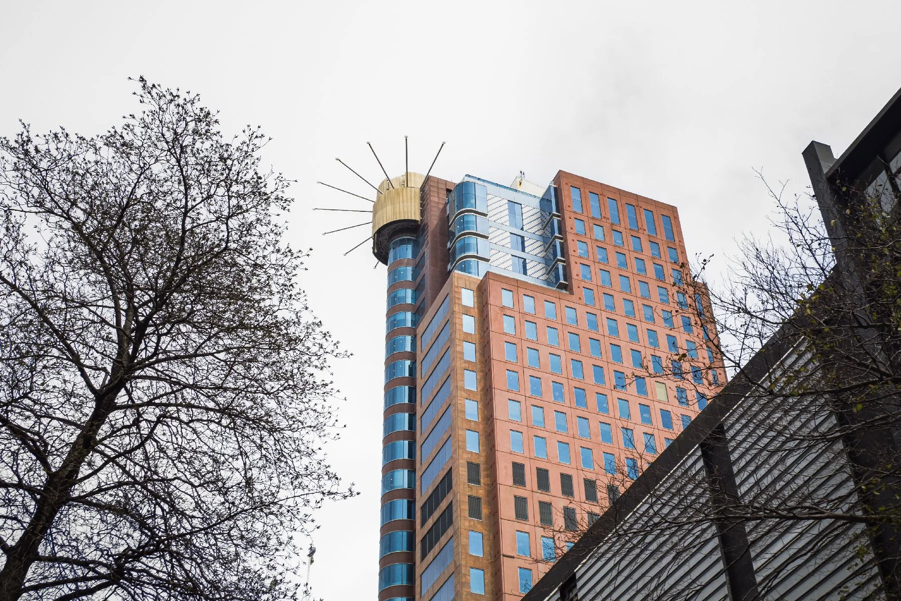 20260811-319.jpg
