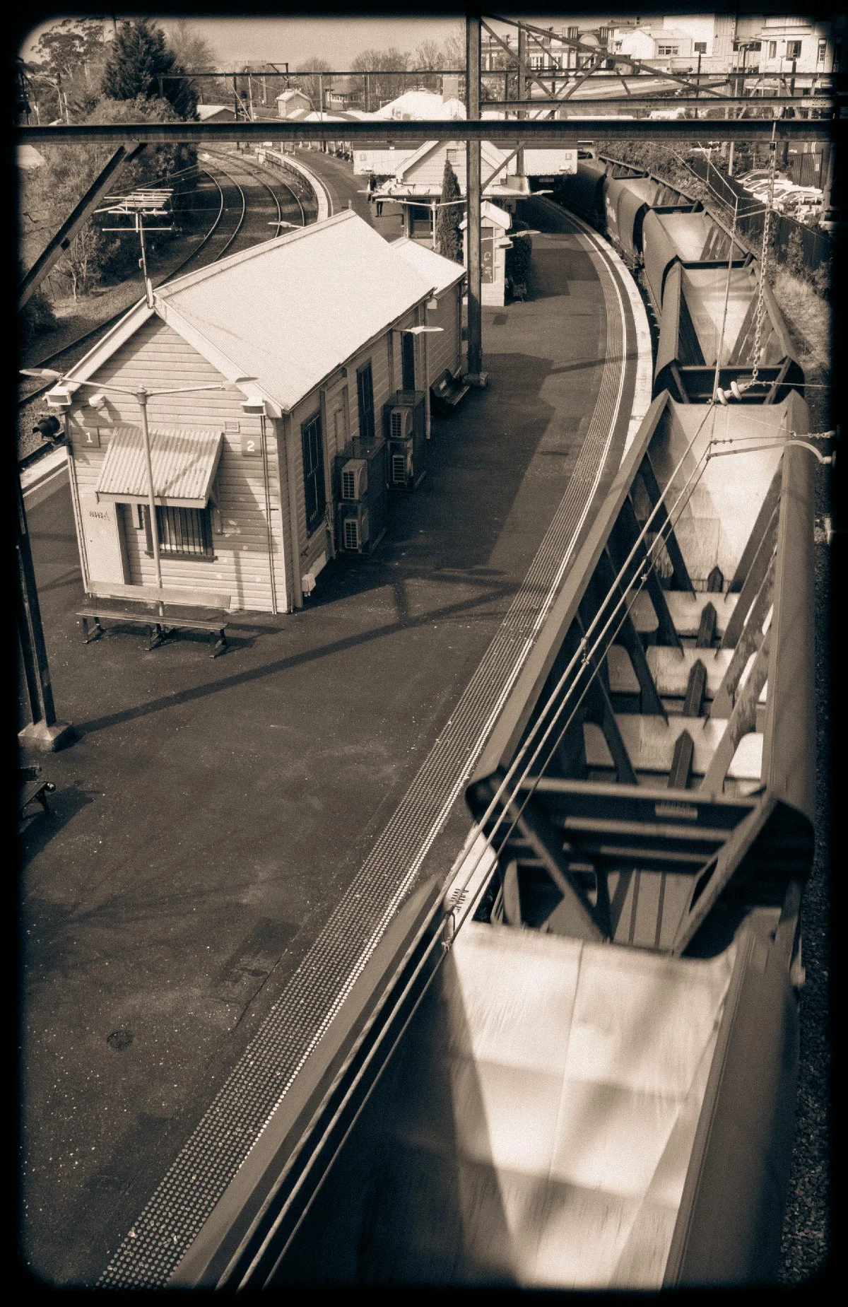 20250811-02.jpg
