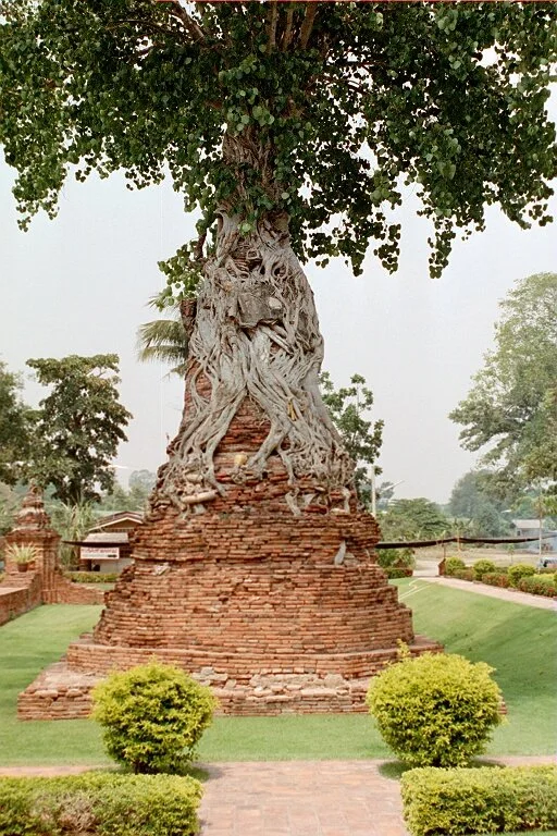 1409.jpg