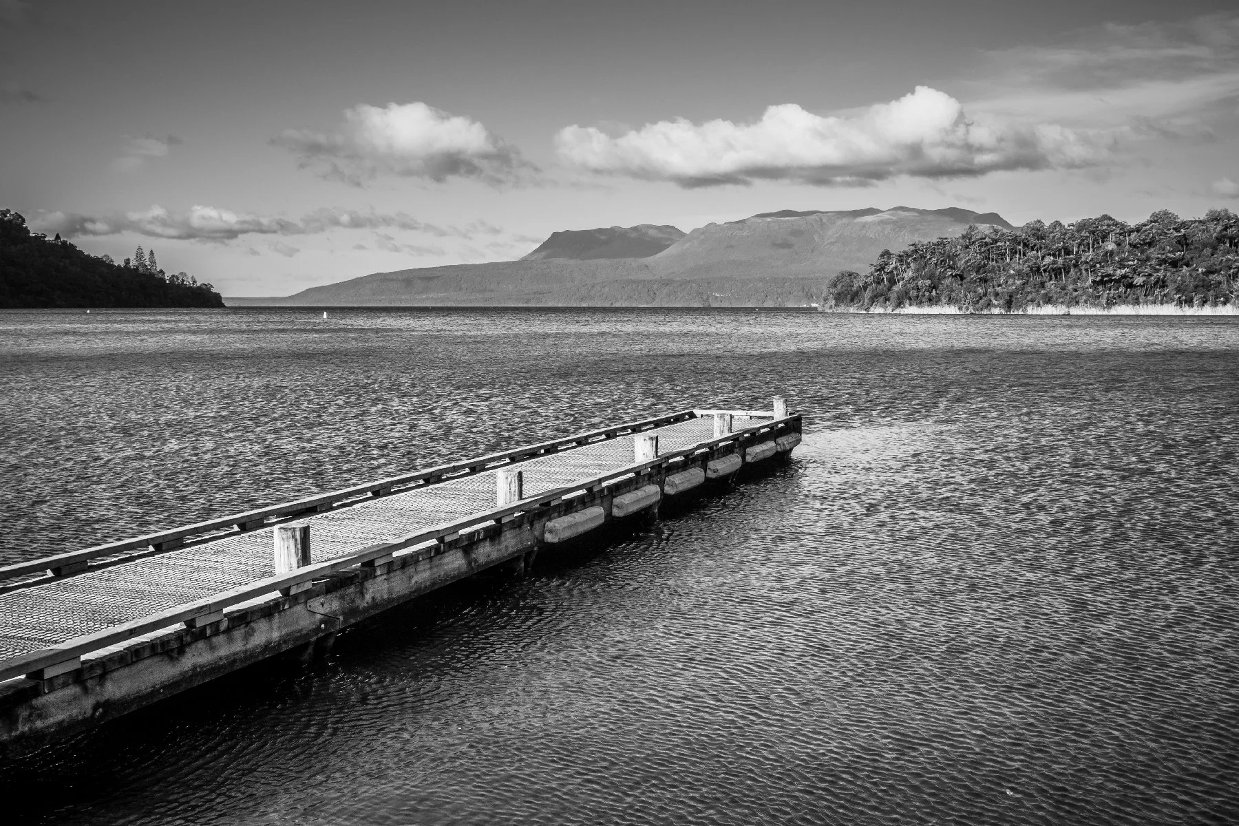 20260803-100.jpg