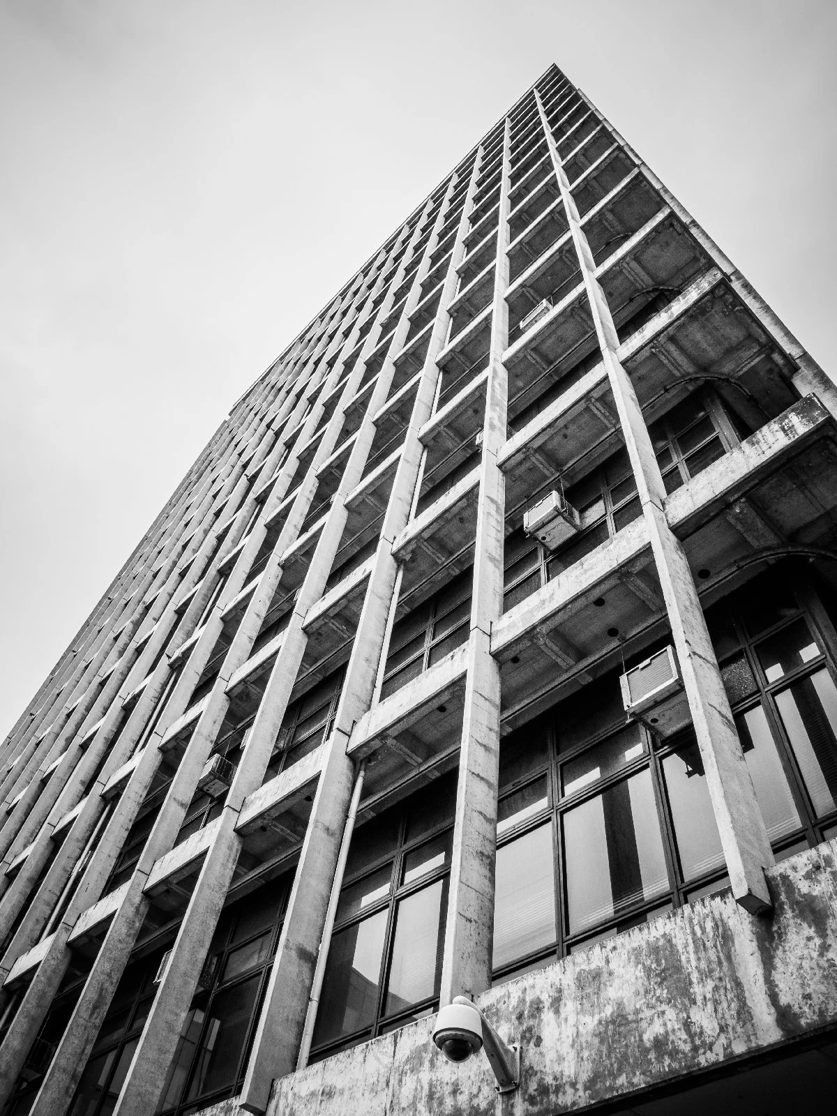 20260811-309.jpg