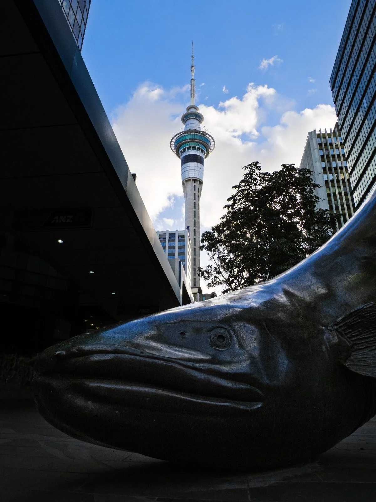 20260801-057.jpg