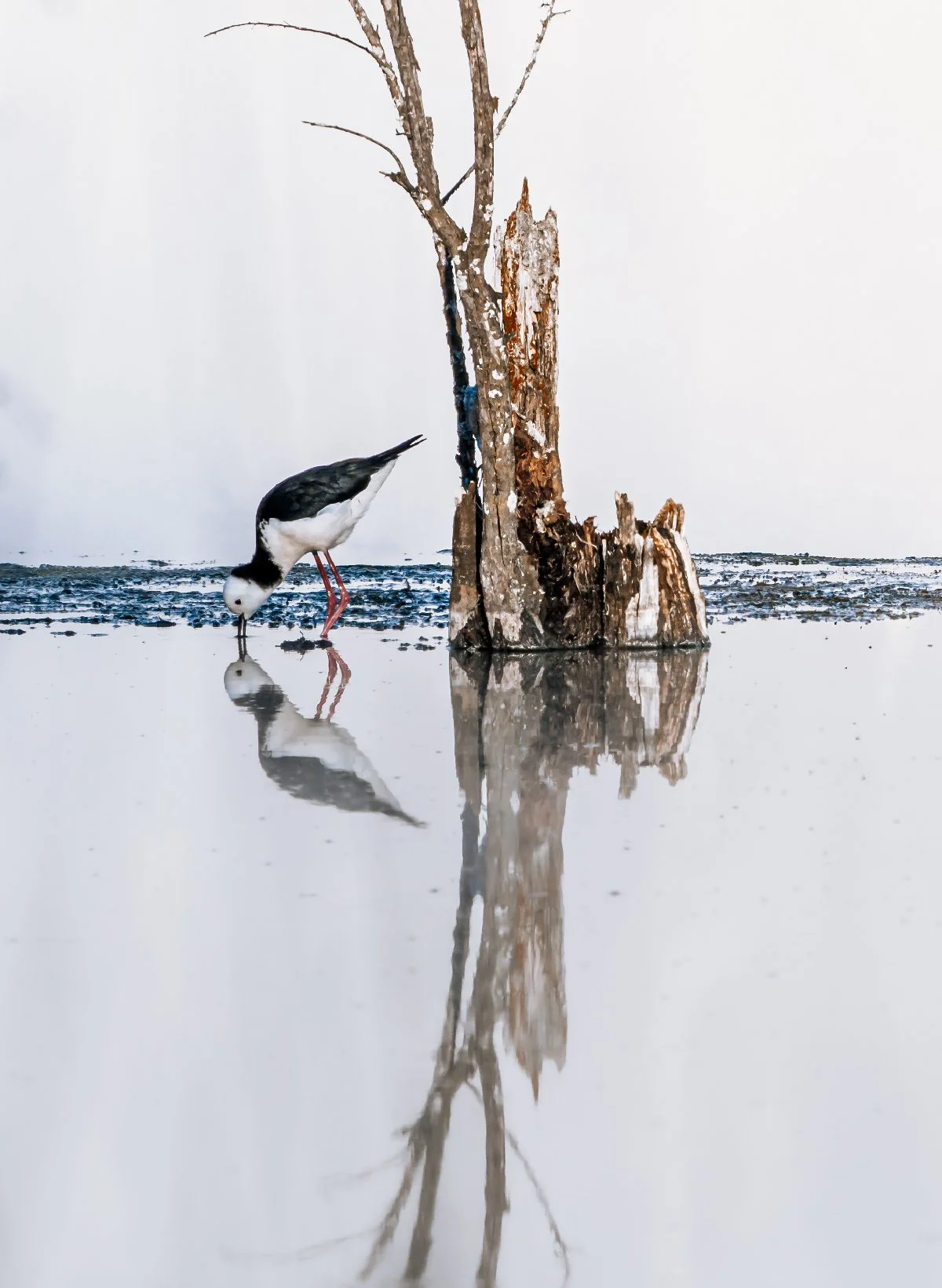 20260802-069.jpg
