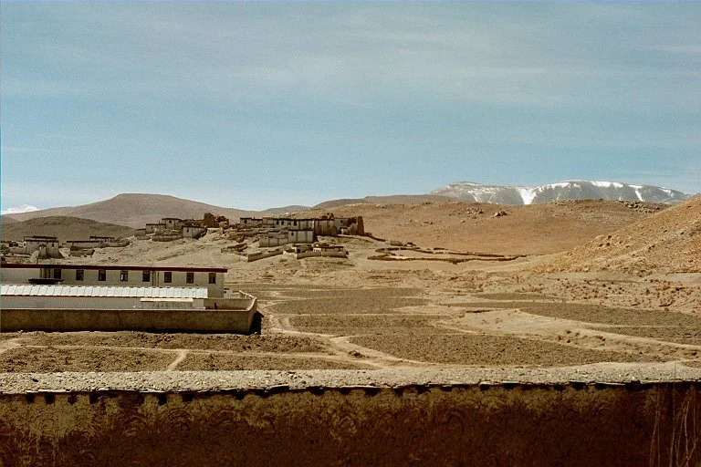 1684.jpg