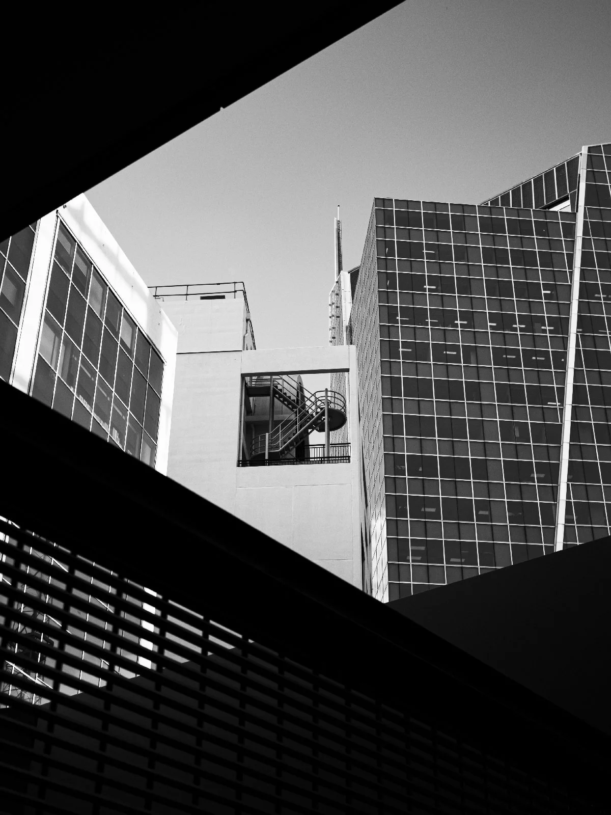 20260731-011.jpg