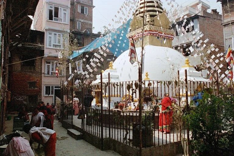 1448.jpg