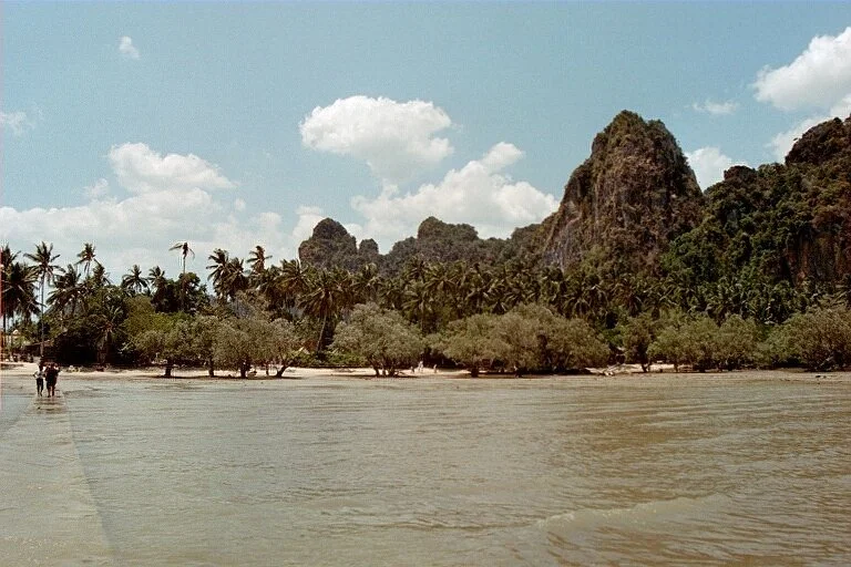 1373.jpg