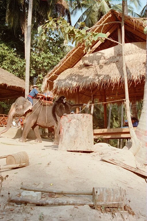 1341.jpg