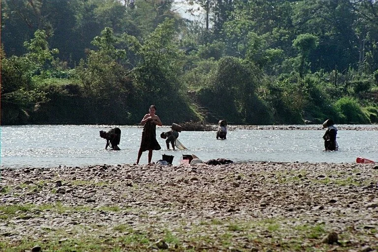 1157.jpg