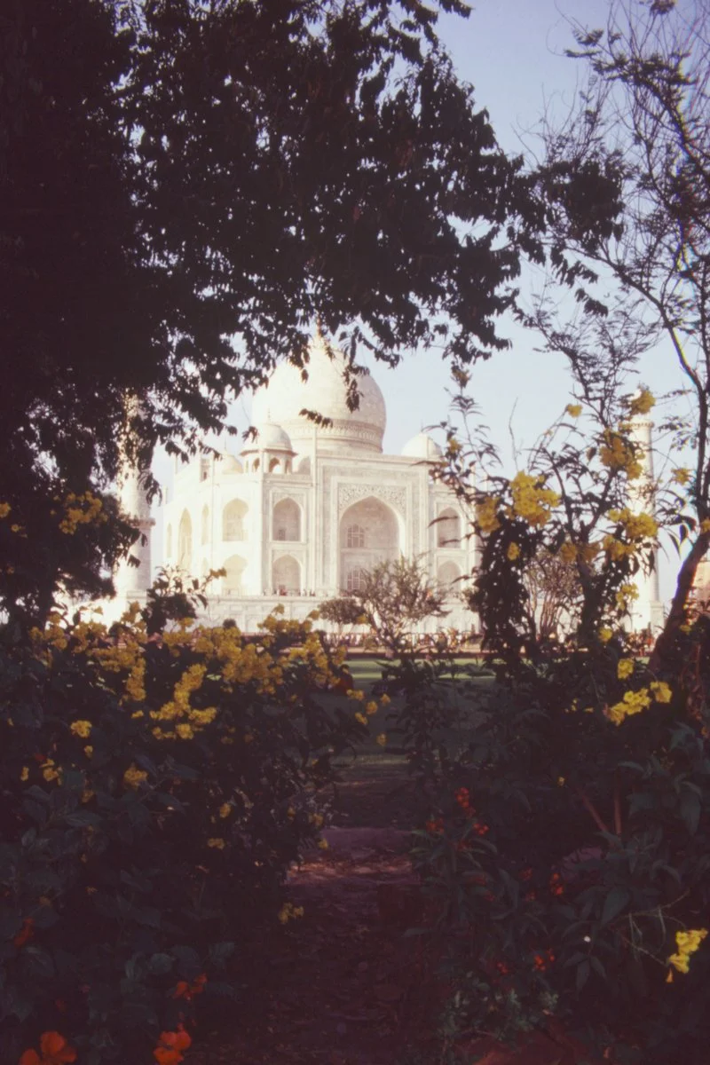 taj 05.jpg