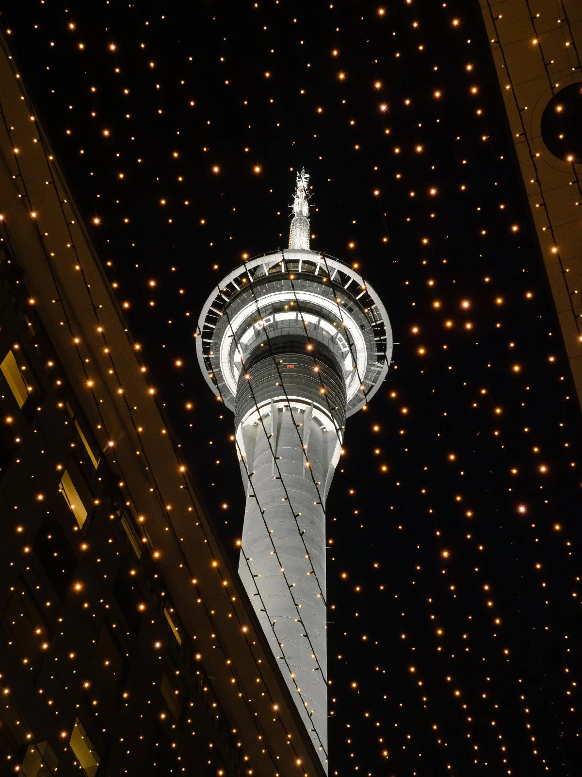 20260731-028.jpg