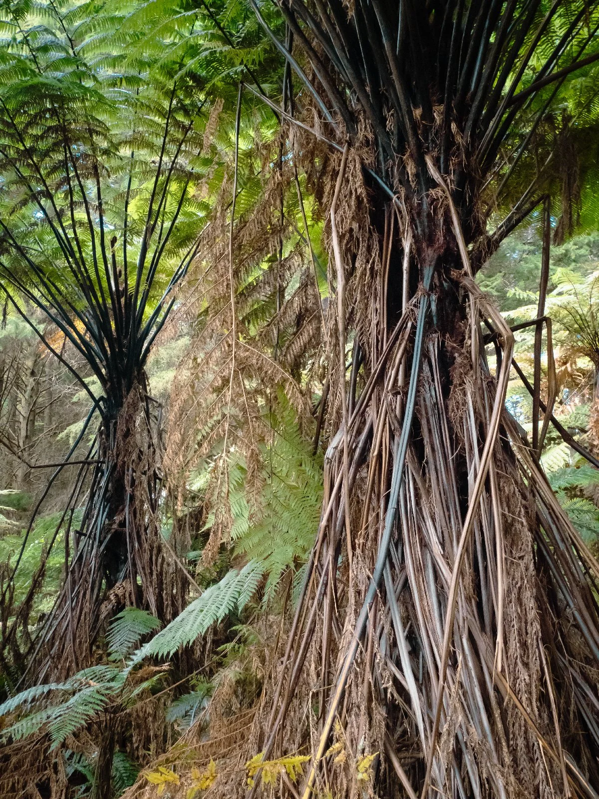 20260803-085.jpg