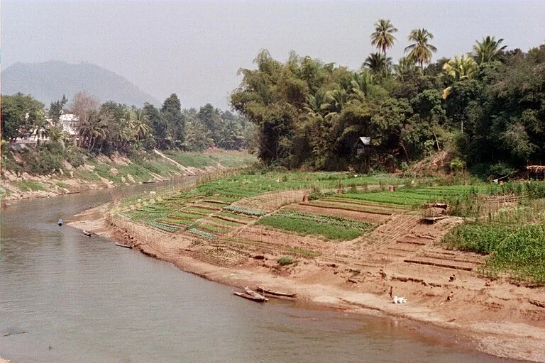 1055.jpg