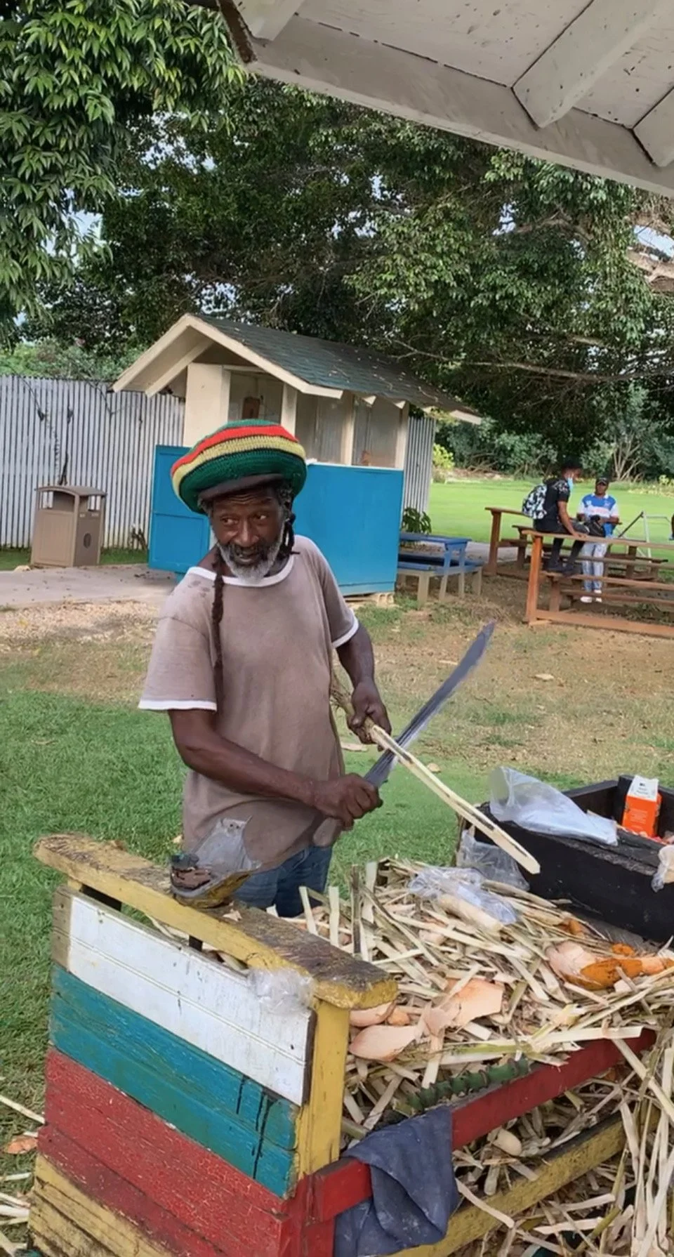 Man peeling sugarcane with a machete in an outdoor setting, wearing a colorful Rastafarian hat, with a wooden cart and chopped sugarcane pieces.