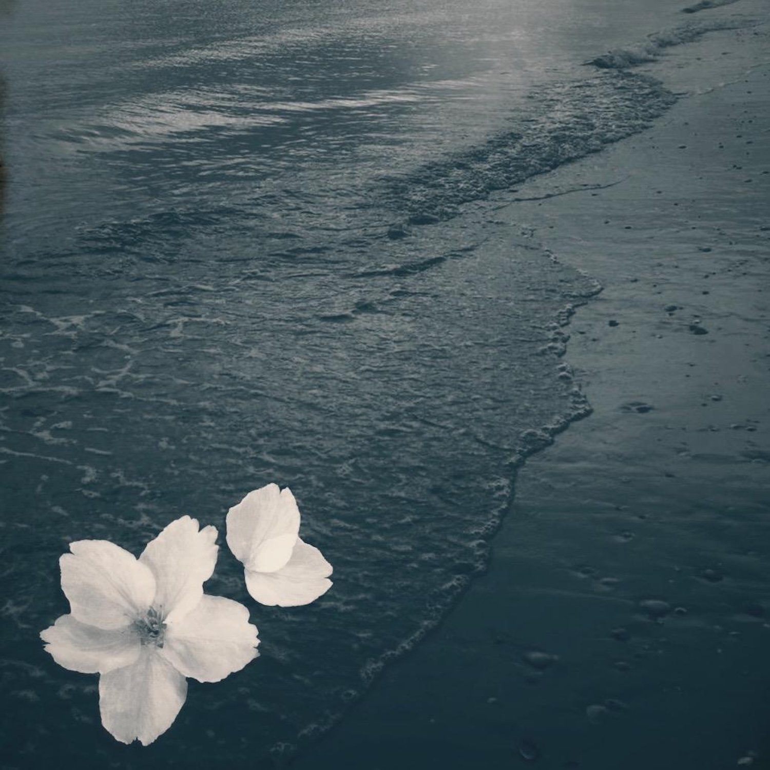 Song Review/ Folk Pop : The Ingrid’s ‘Mother’