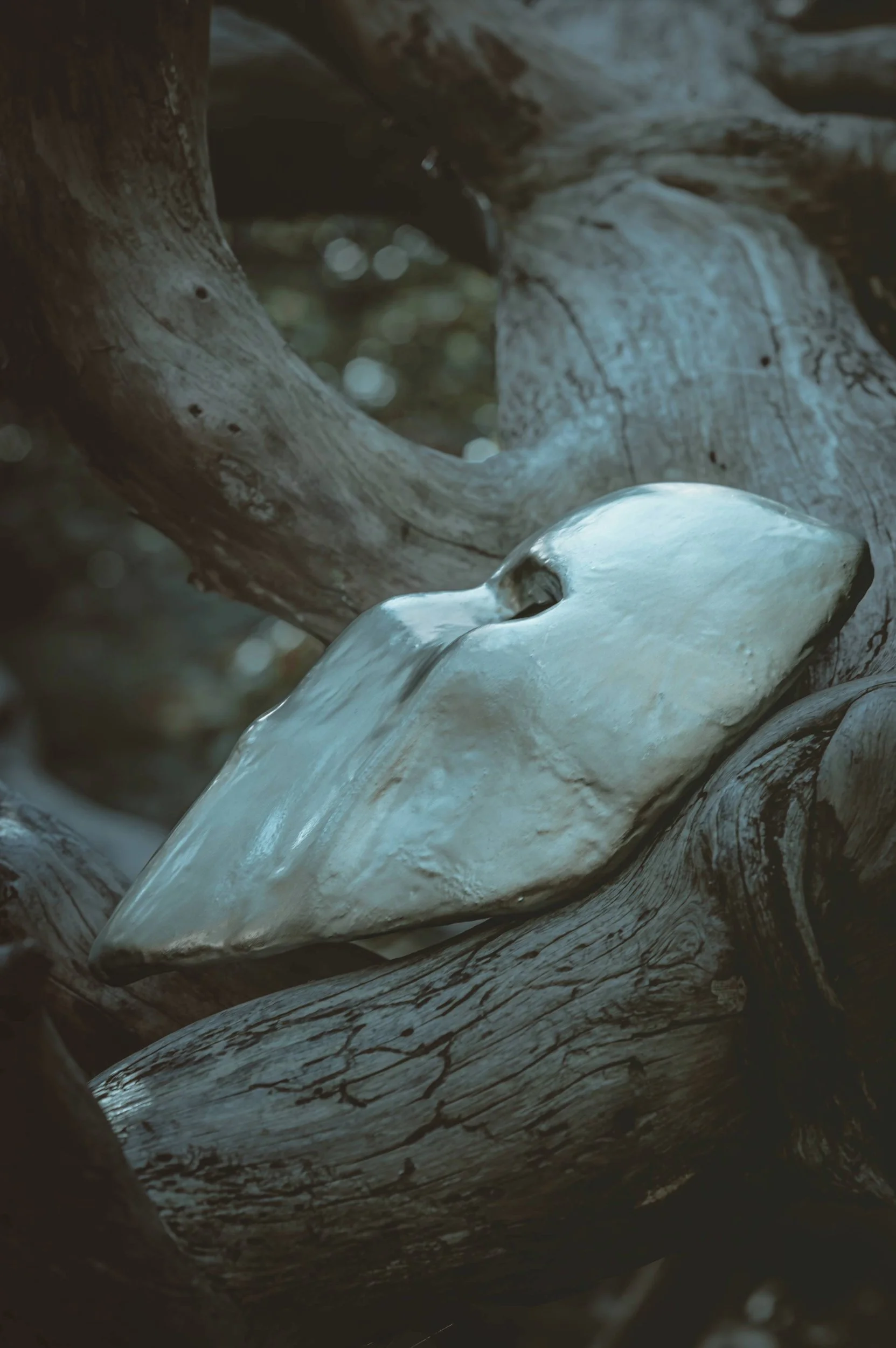 Song Review/ Indie Rock : Kalligary’s ‘I Never’