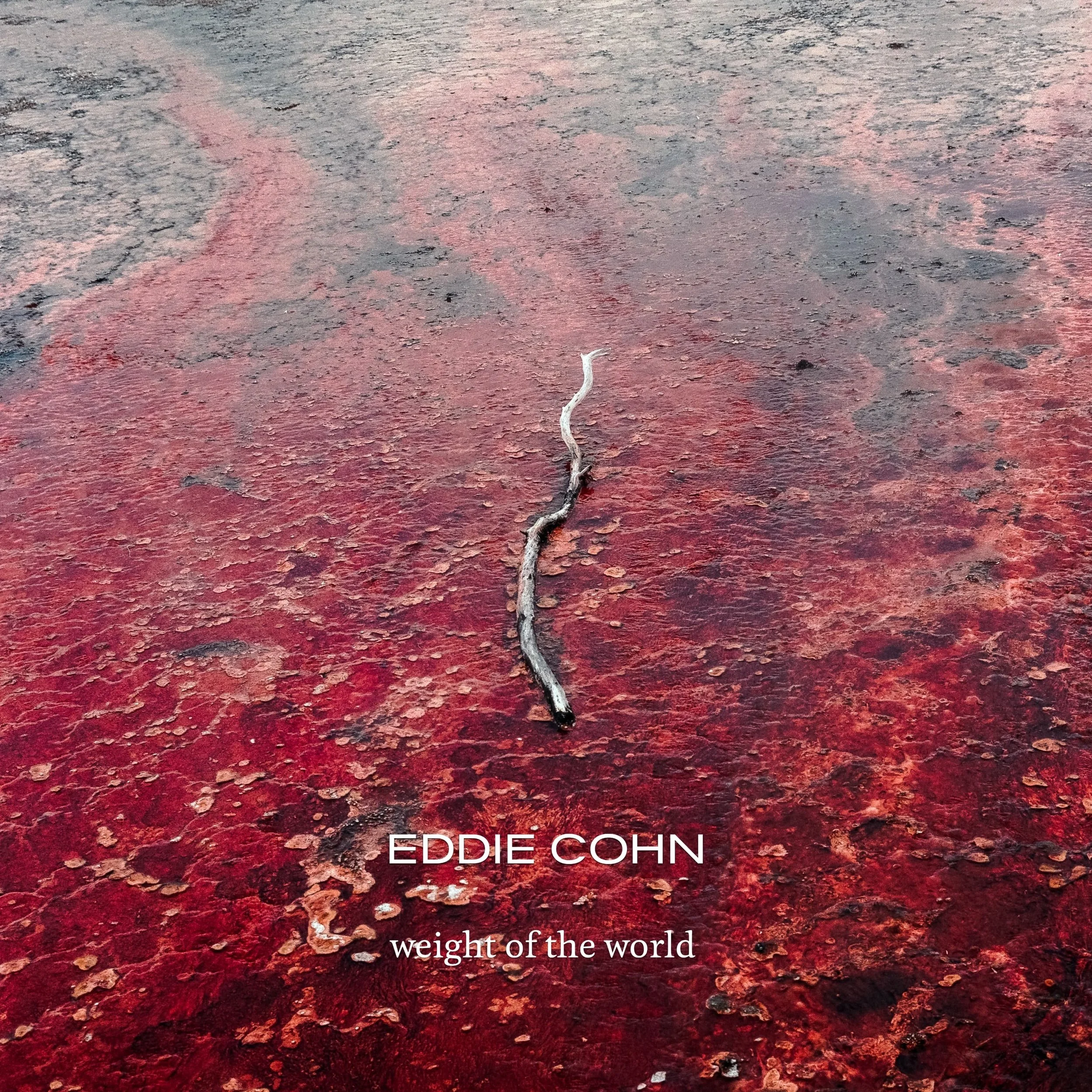 Song Review/ Acoustic Rock : Eddie Cohn’s ‘Weight of the World’