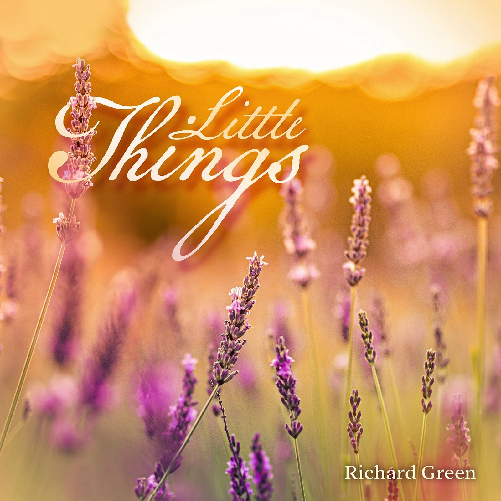 Song Review/ Electro Pop : Richard Green’s ‘Little Things’