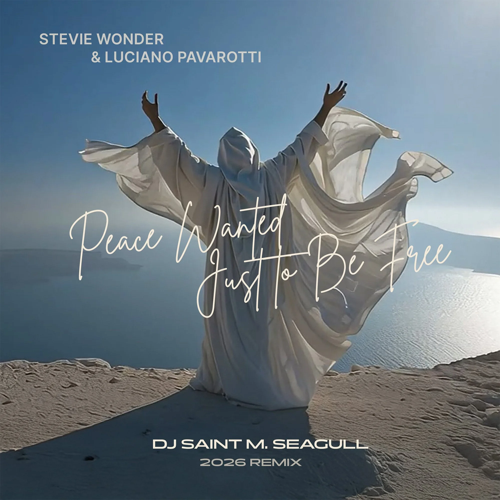 Song Review/ Techno : The DJ Saint M Seagull’s ‘Peace Wanted Just to be Free’