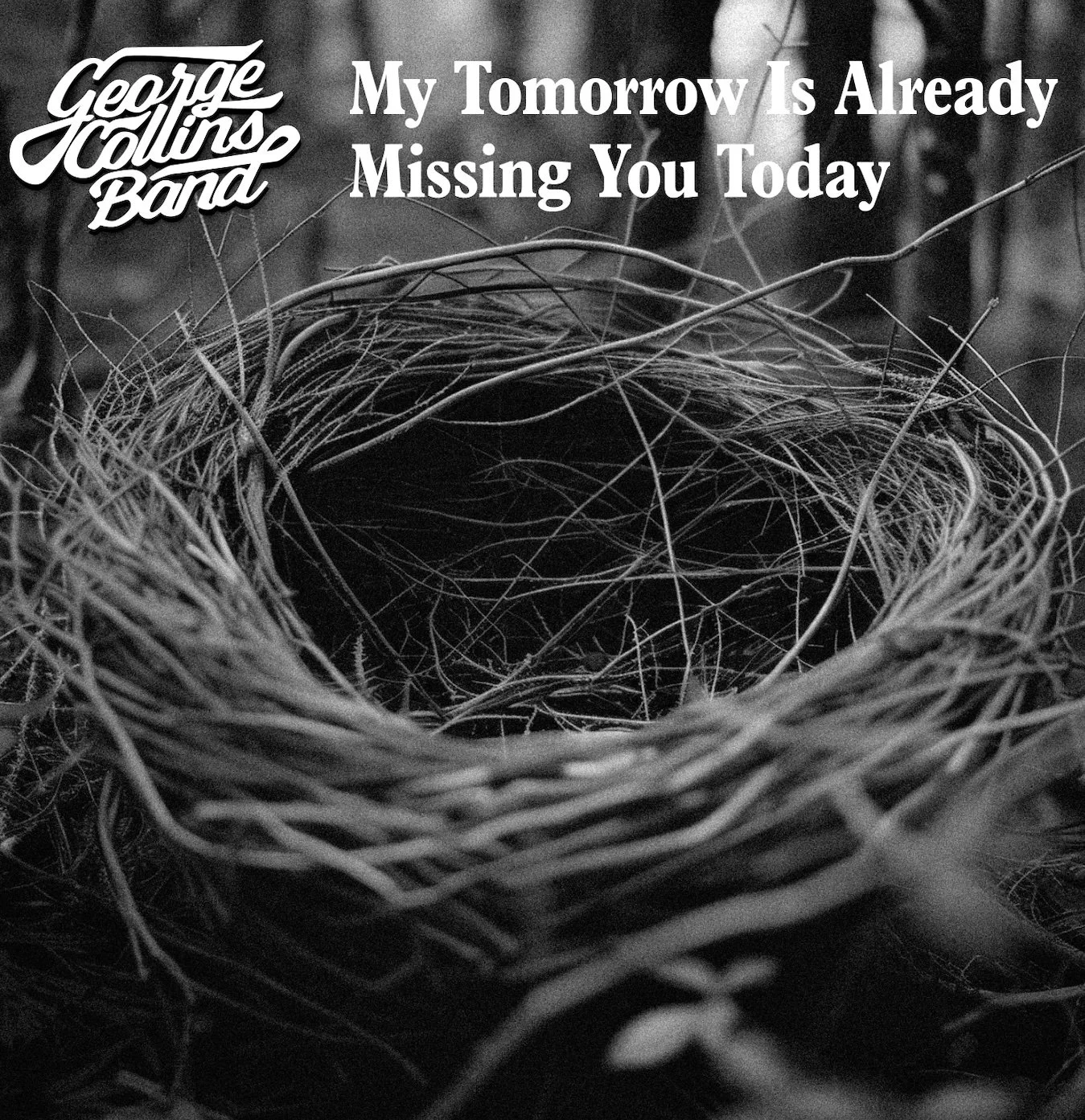 Song Review/ Singer-Songwriter : George Collins Band’s ‘My Tomorrow Is Already Missing You Today’