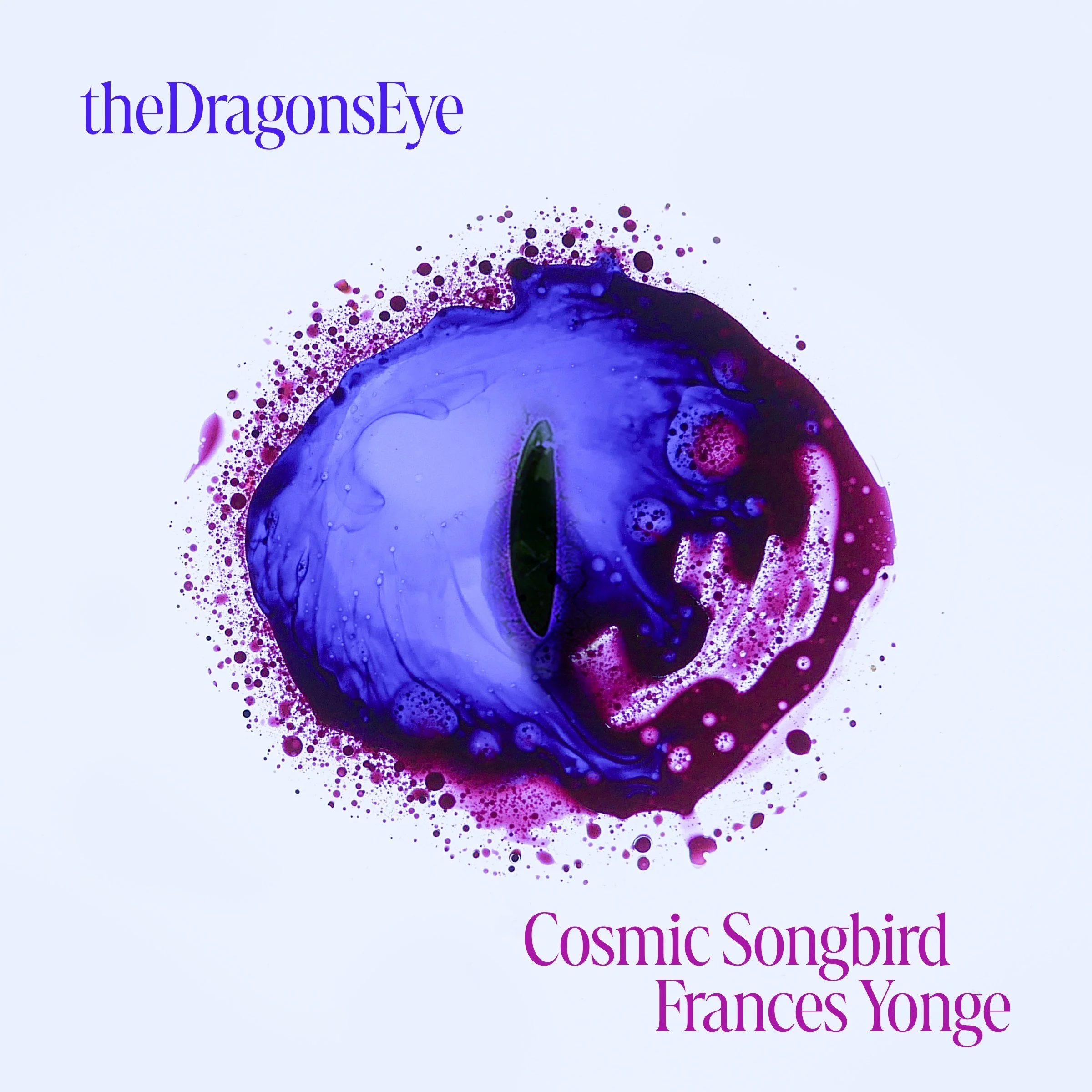 Song Review/ New Age : Cosmic Songbird’s ‘The Dargon’s Eye’