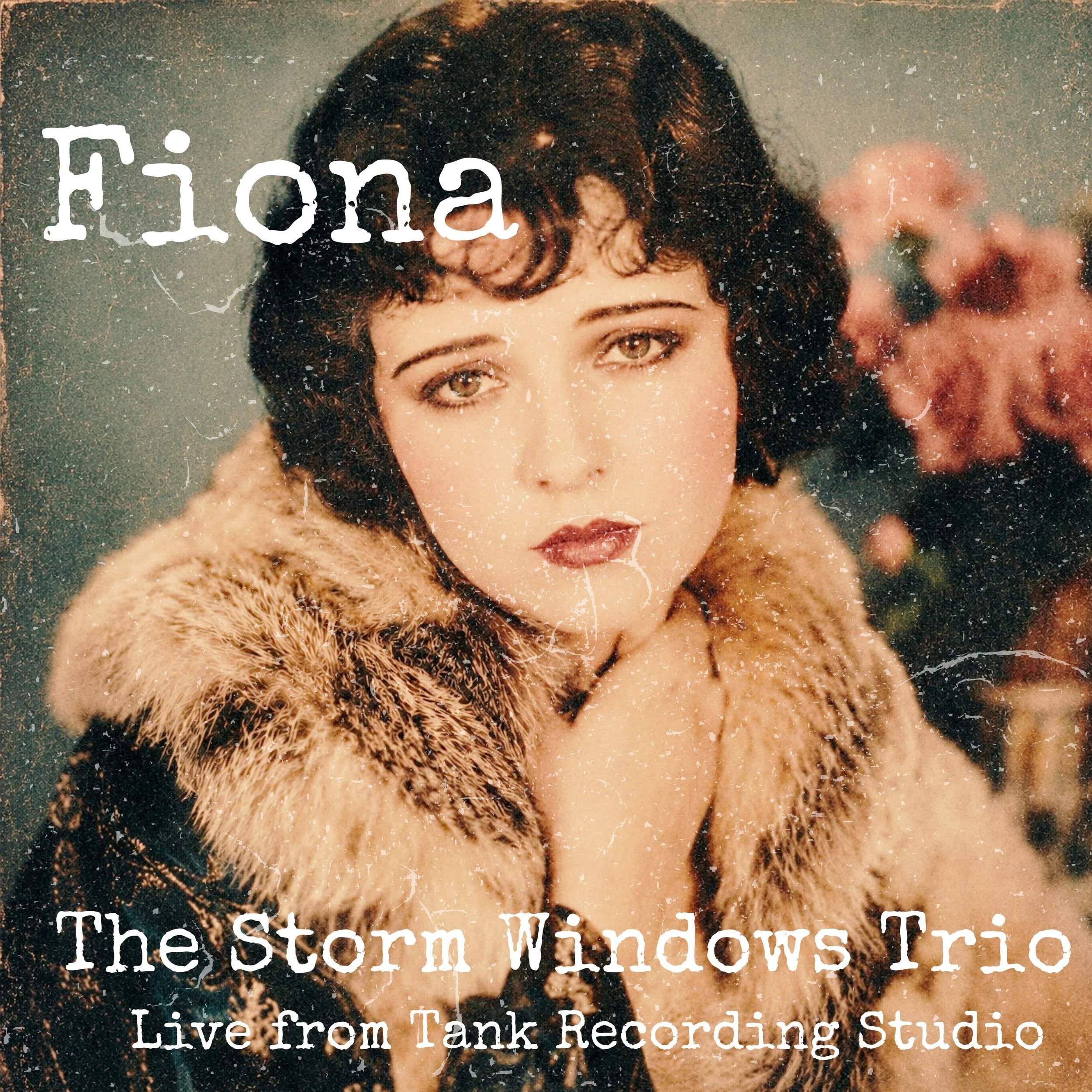 Song Review/ Alt Folk : The Storm Windows’ ‘Fiona’