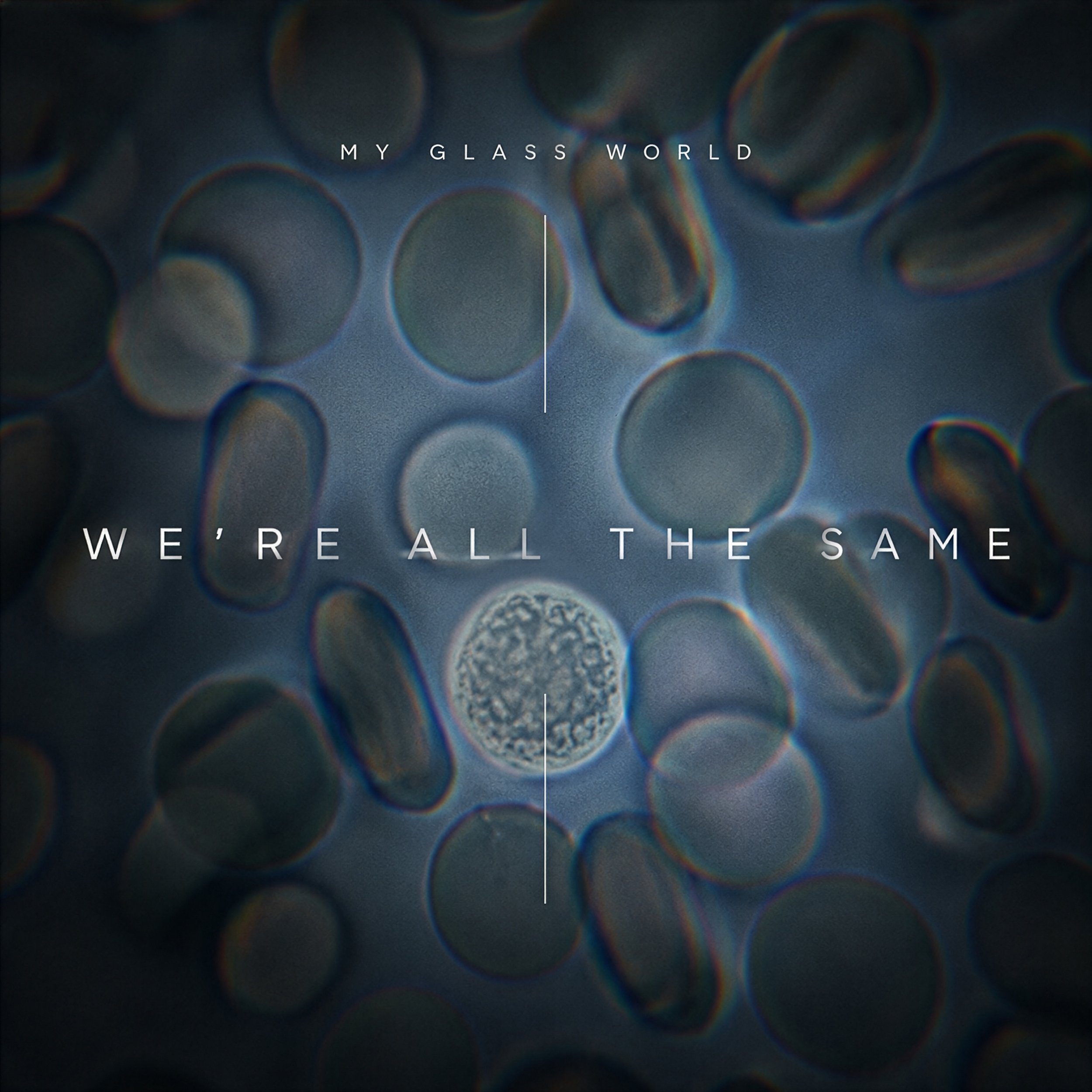 Song Review/ Rock : My Glass World’s ‘We’re All The Same’