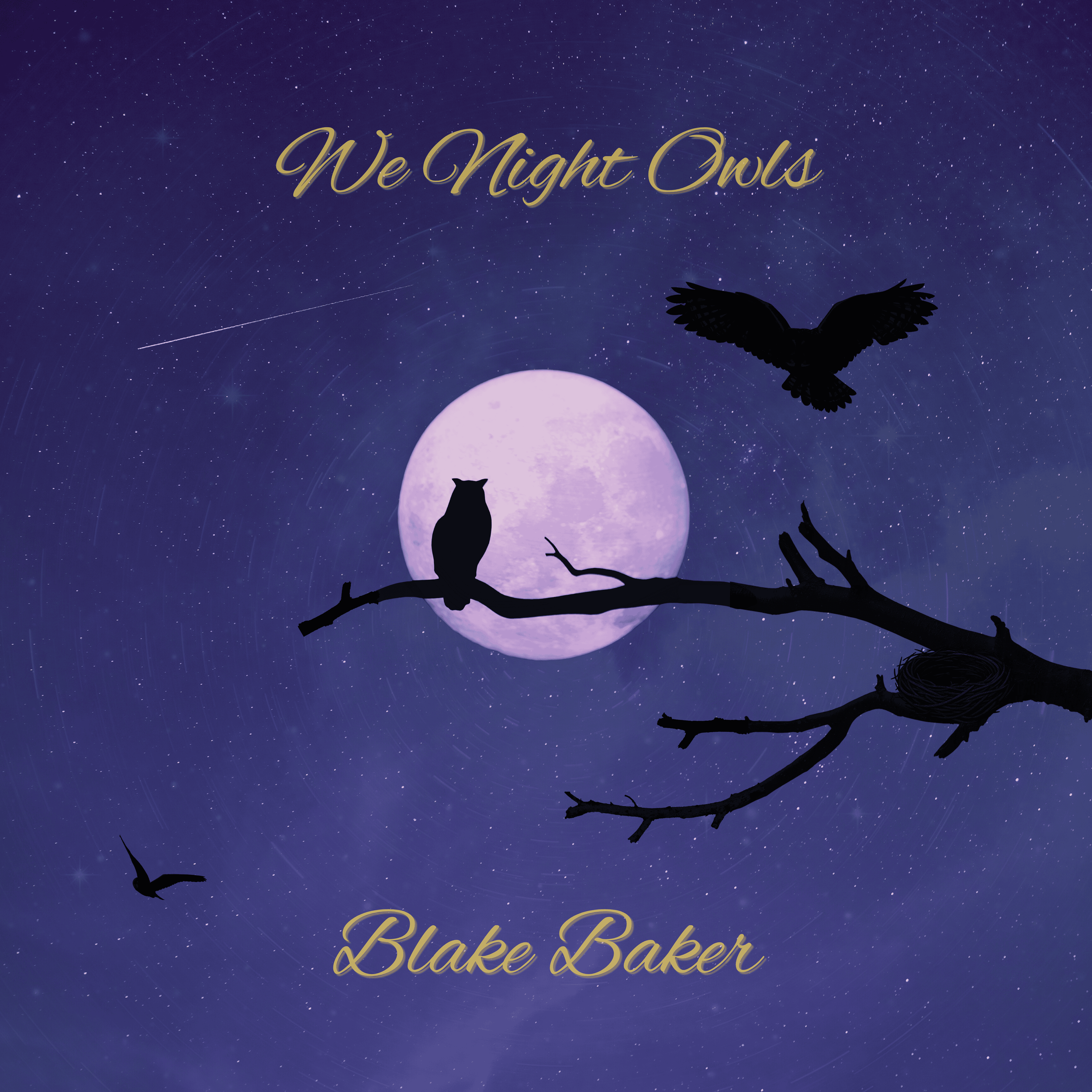 Song Review/ Indie : Blake Baker’s ‘We Night Owls’ 