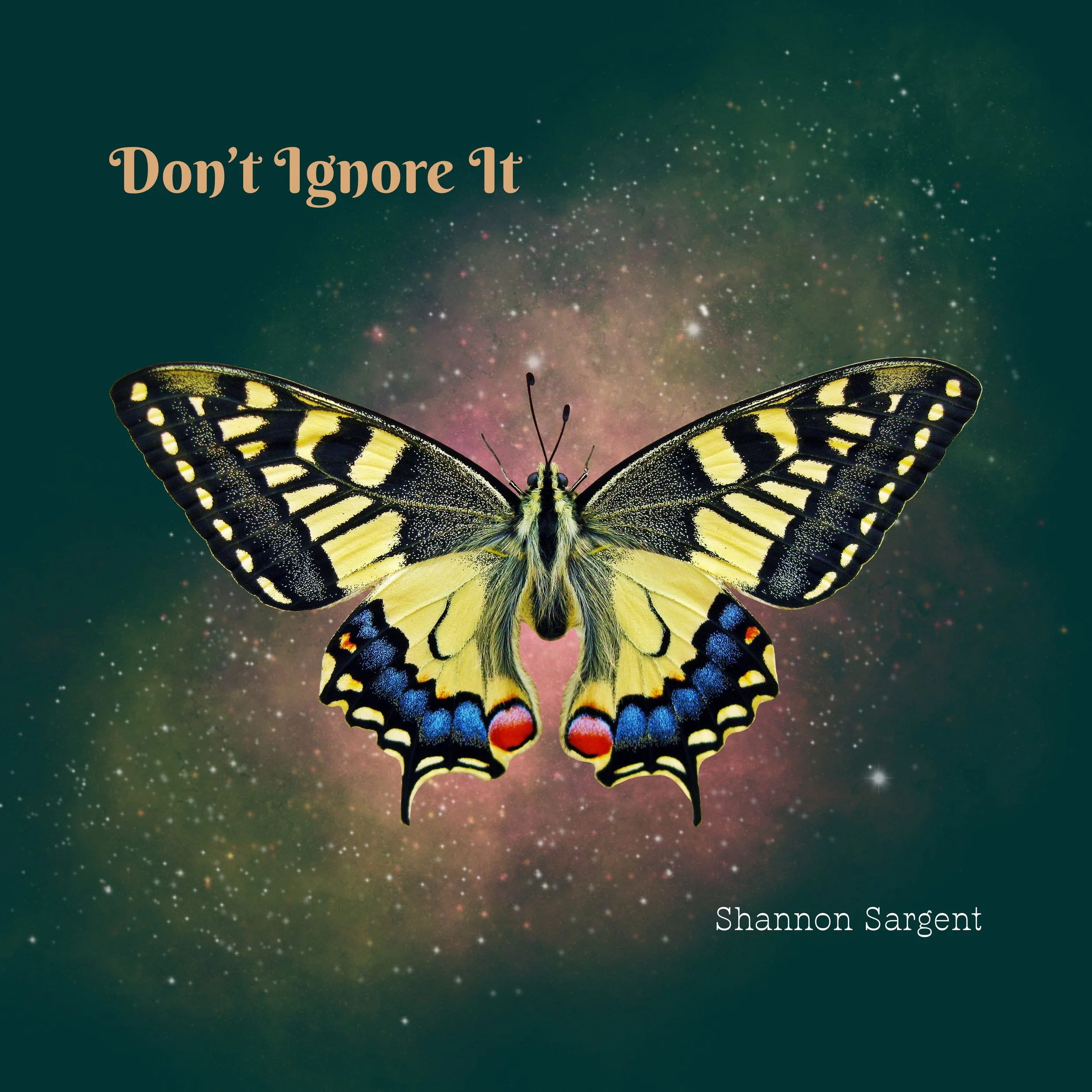 Song Review/ Singer-Songwriter : Shannon Sargent’s ‘Don’t Ignore It’