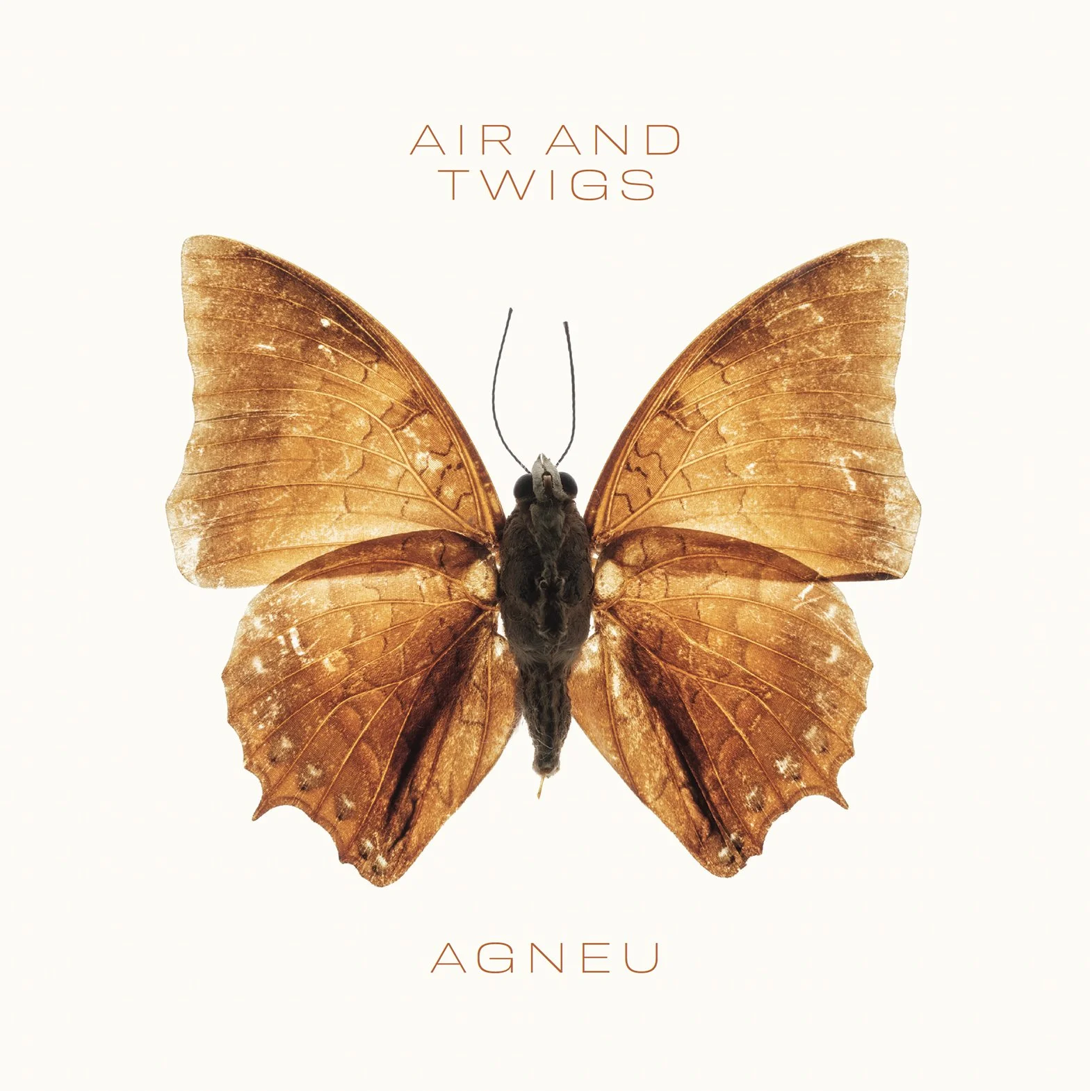 Album Review/ Alt Folk : Agneu’s ‘Air &amp; Twigs’