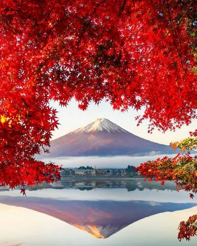 Fuji fall.jpeg