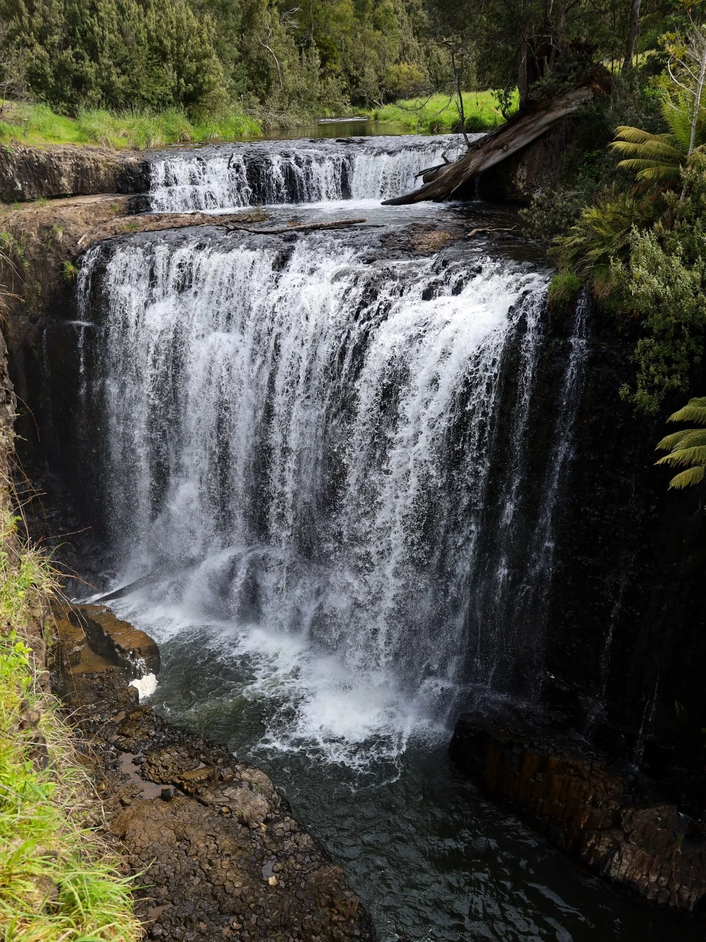 Guide Falls in the north of Tasmania is such an underrated spot. This quiet area is often overlooked by people travelling to Tassie. It was the perfect little day trip through the regional towns in the north. 

#tasmania #thingstodotasmania #visittas