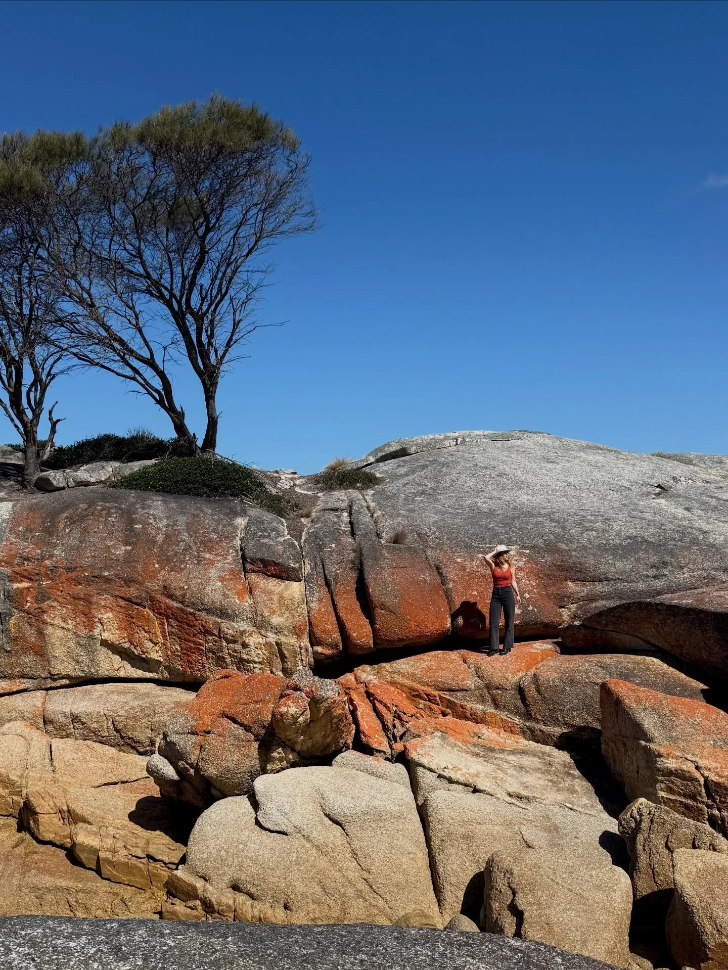 The striking iconic orange of the Bay of Fires in Tasmania. 

We found the prettiest beaches weren&rsquo;t signposted&hellip; they were often down unmarked dirt tracks where we found only locals. 

What are some of your favourite spots in Tasmania? 
