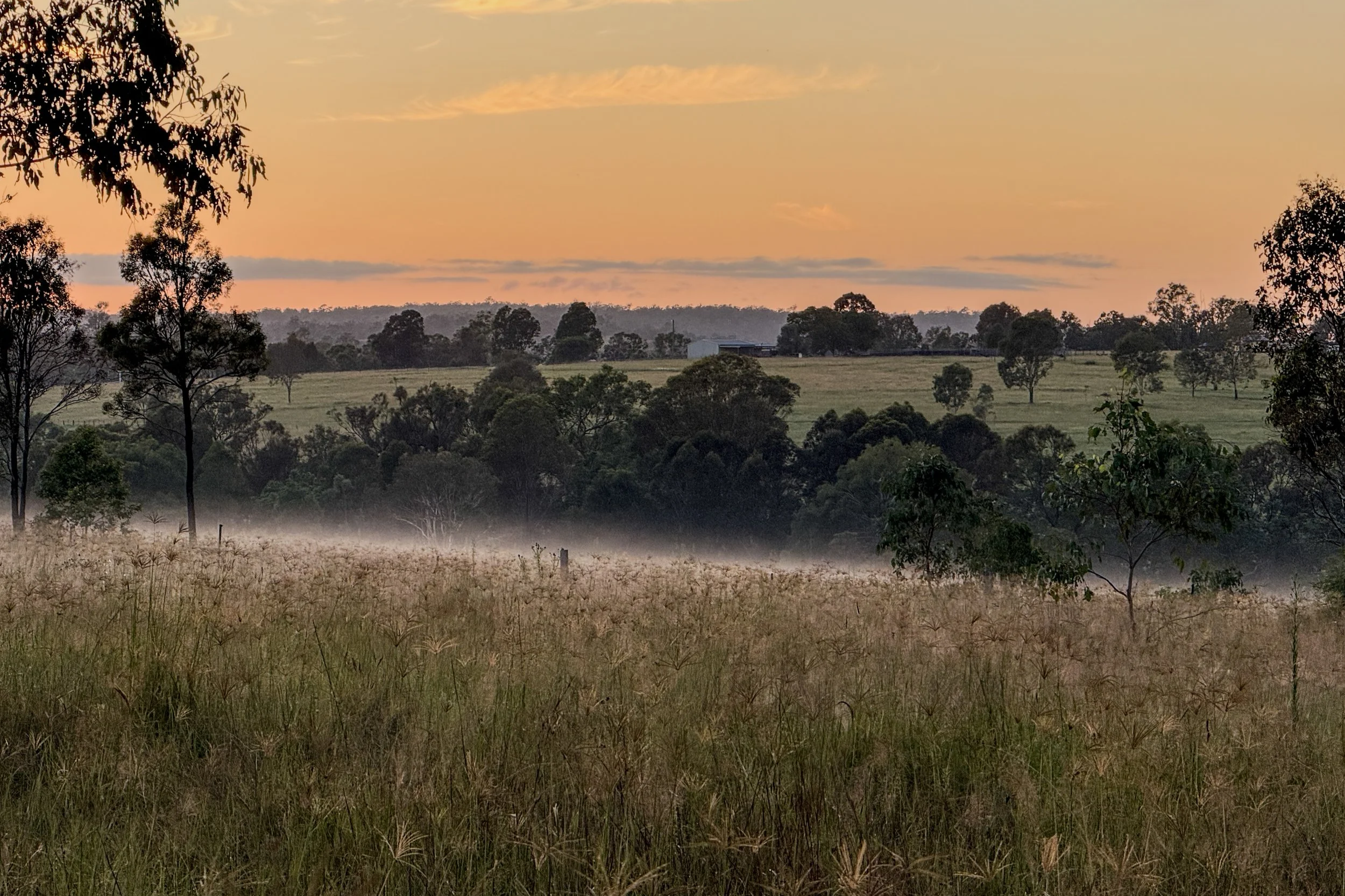 South Burnett Travel Guide: Wine, Country Towns &amp; Tiny House Escapes in Queensland