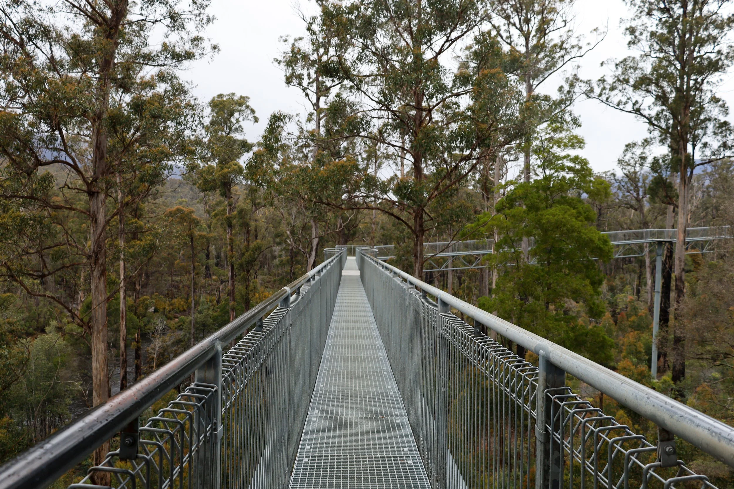 Tahune Forest Airwalk, Tasmania