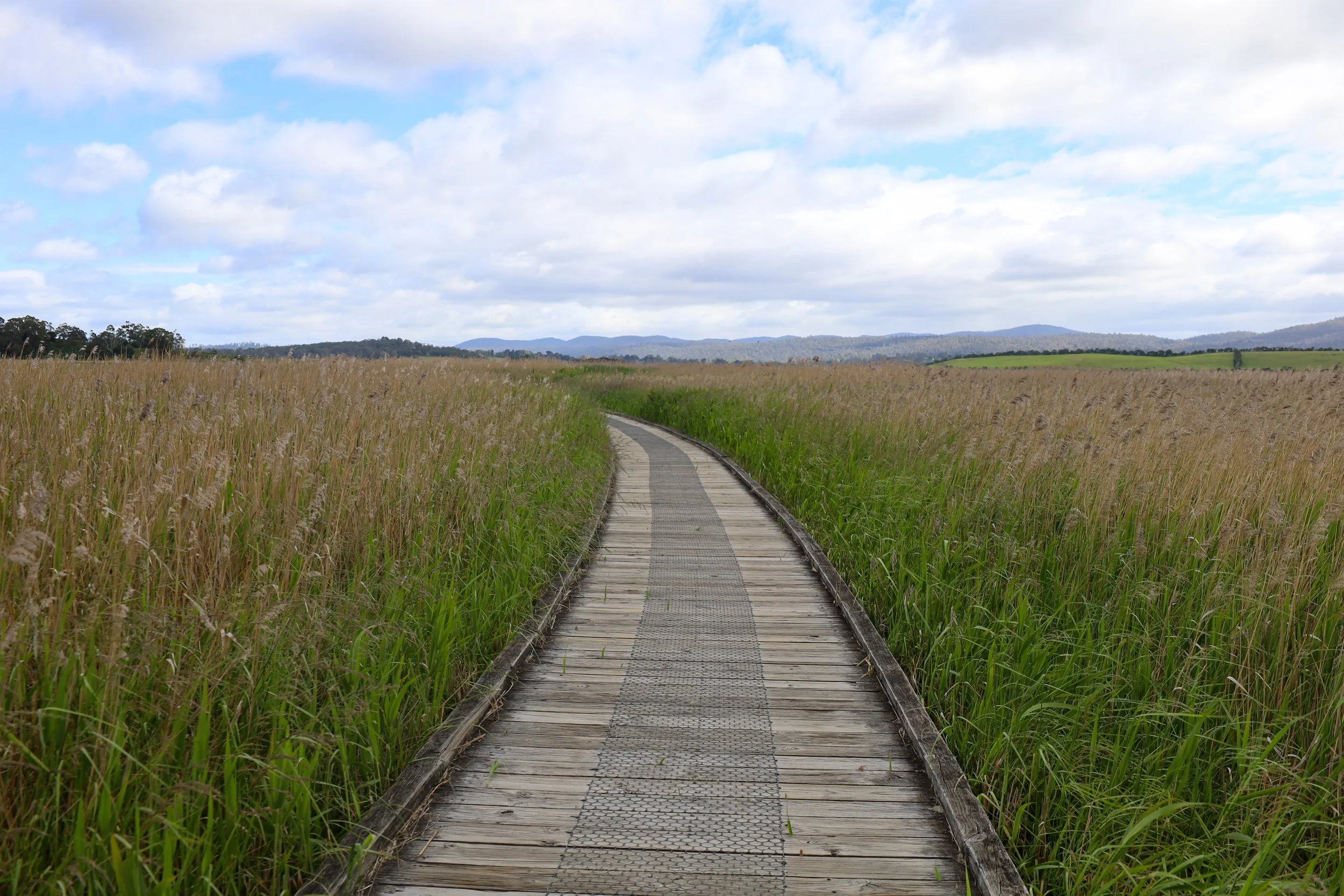 Tamar Island Wetlands, Tasmania