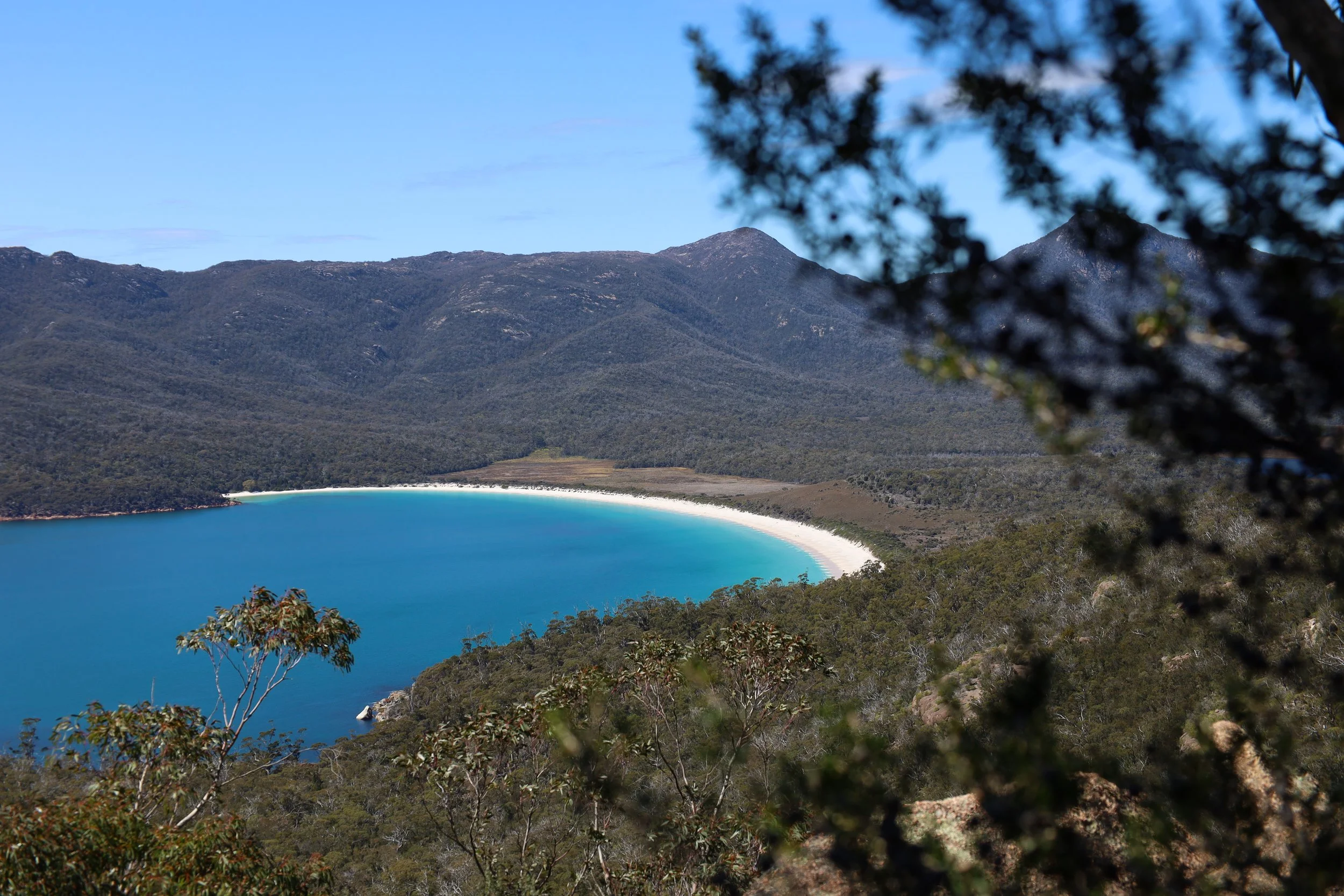 60 Great Short Walks of Tasmania: Easy Adventures with Big Payoffs