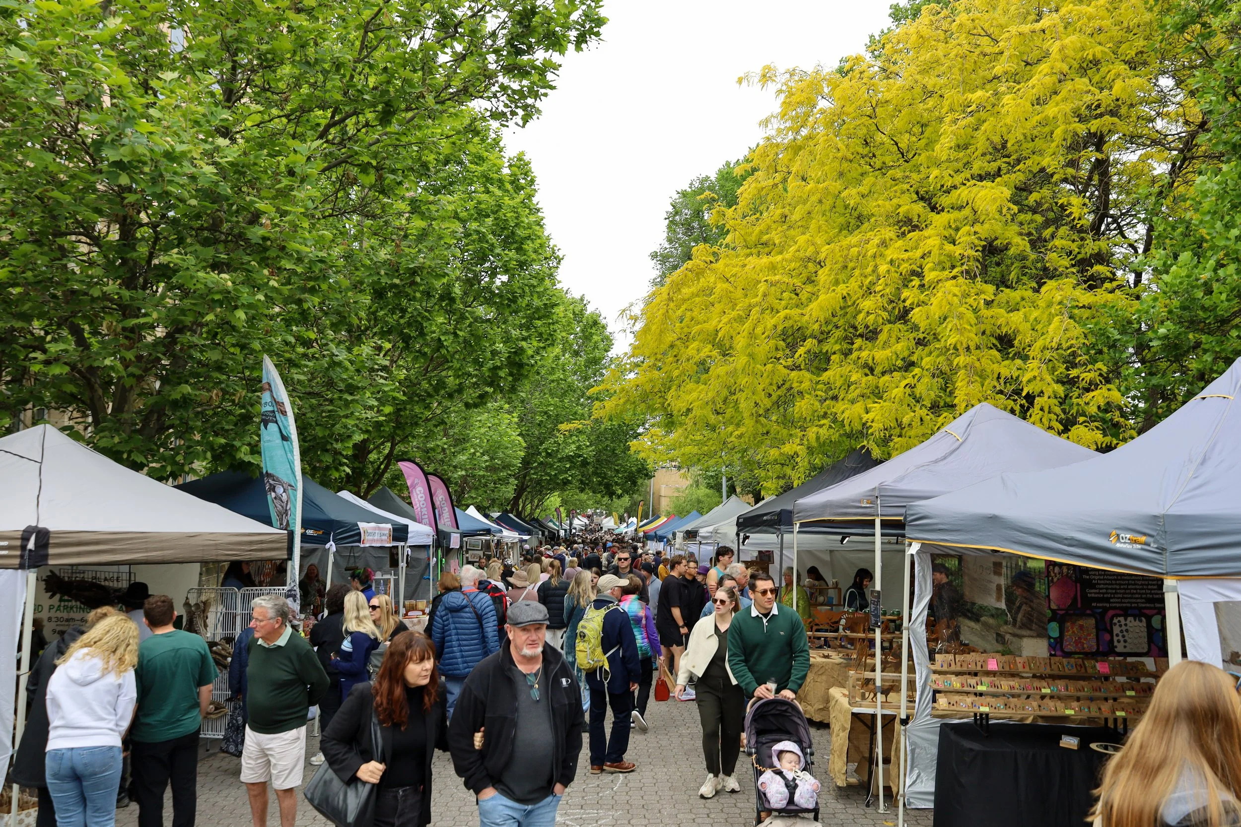 Salamanca Markets, Hobart, Tasmania
