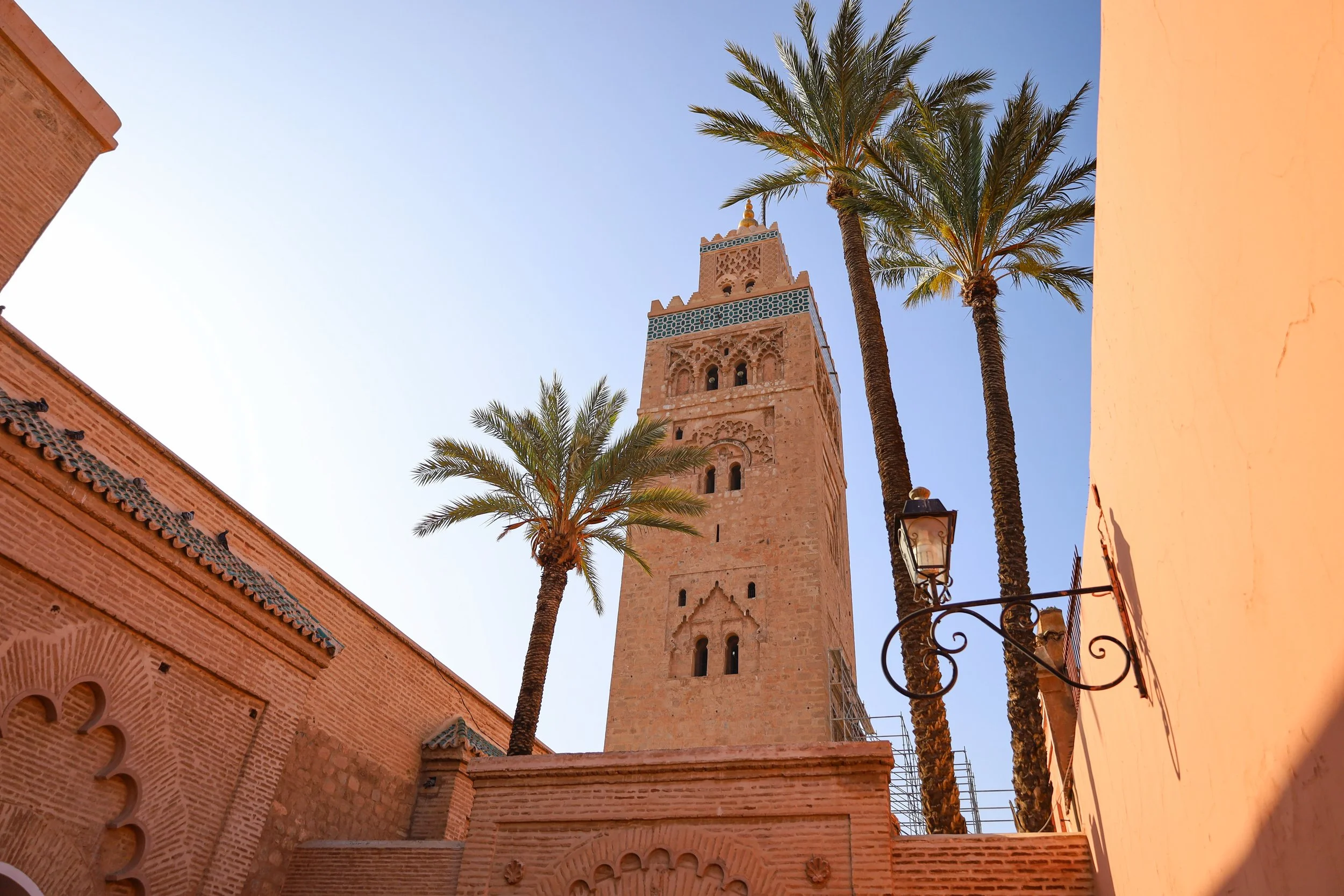 Mosques and date palms in Marrakech, Morocco
