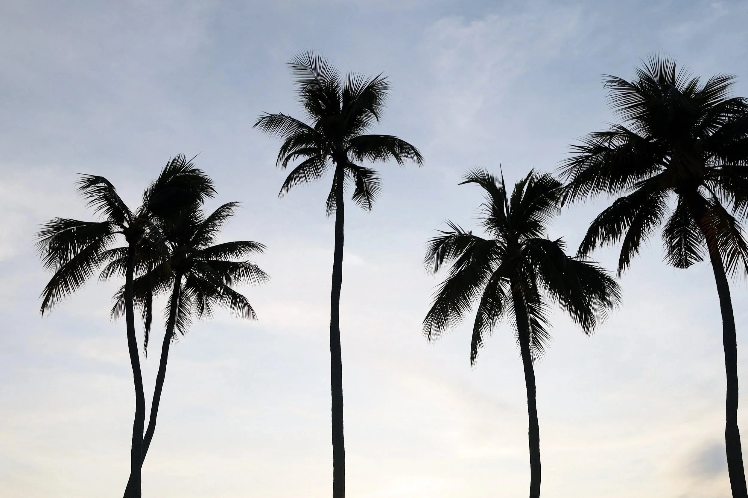 Sunsets at Palau Pacific Resort
