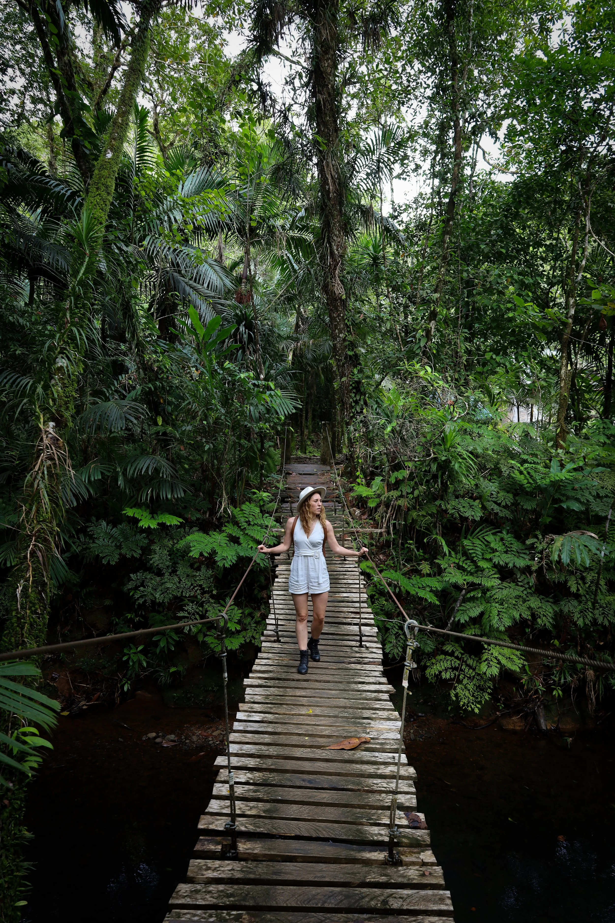 Walking through the jungle in Palau
