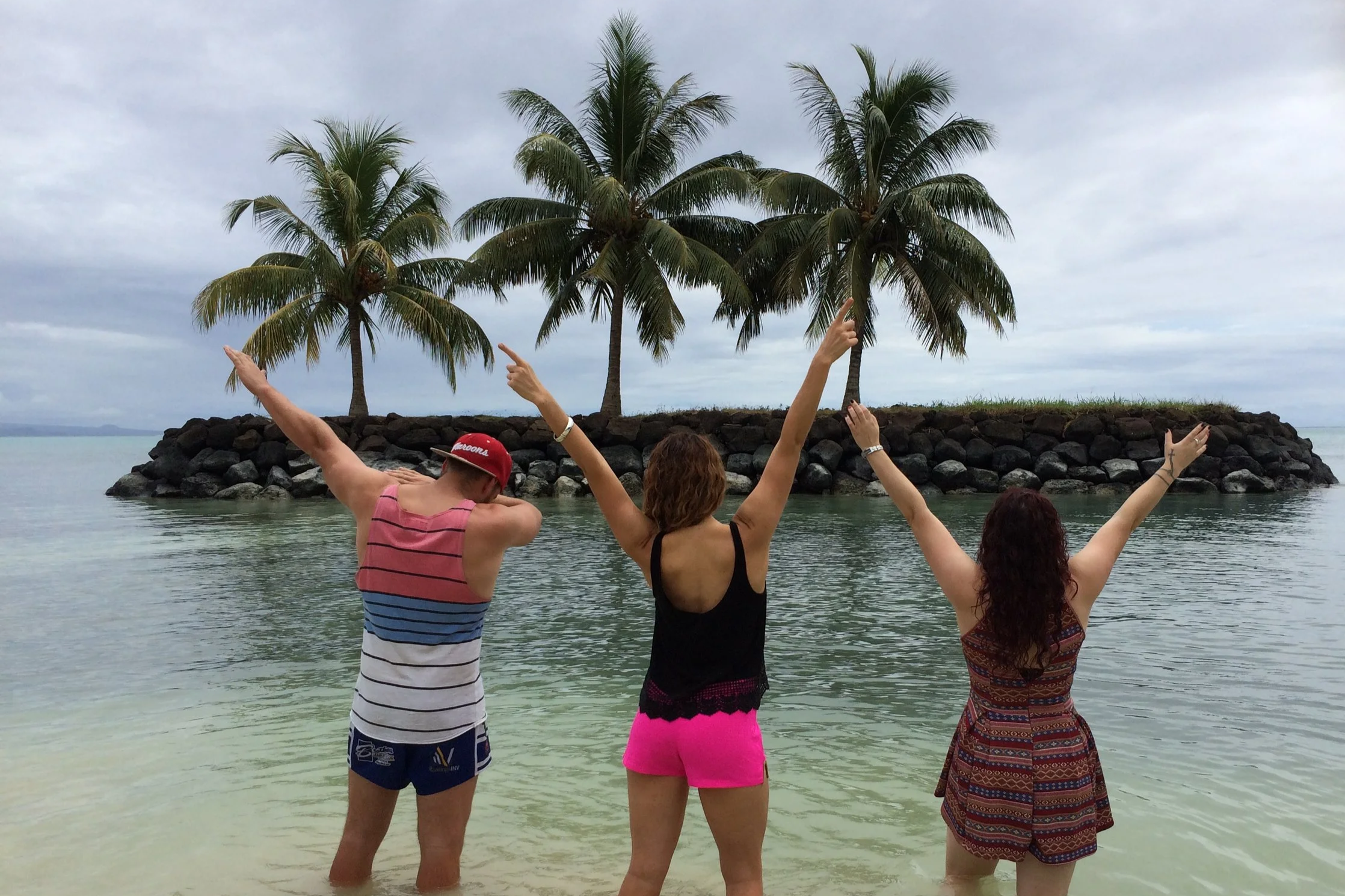 Coconut trees in Samoa