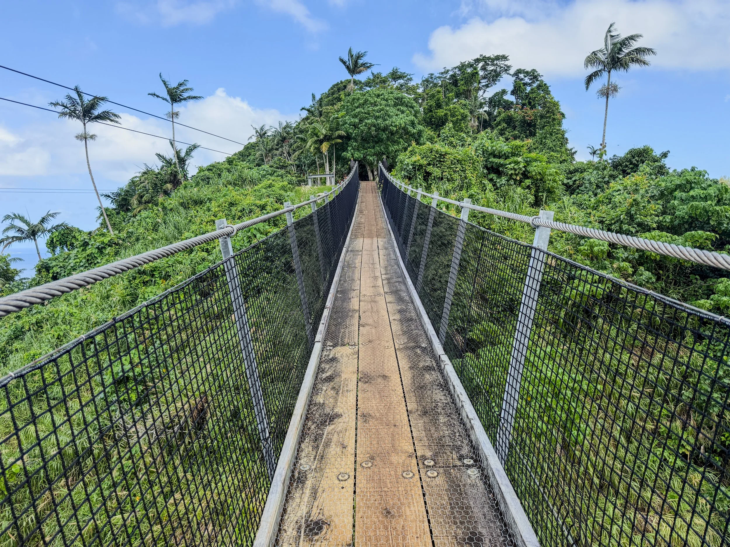 The Sky Bridge at Vanuatu Jungle Zipline on Efate Island