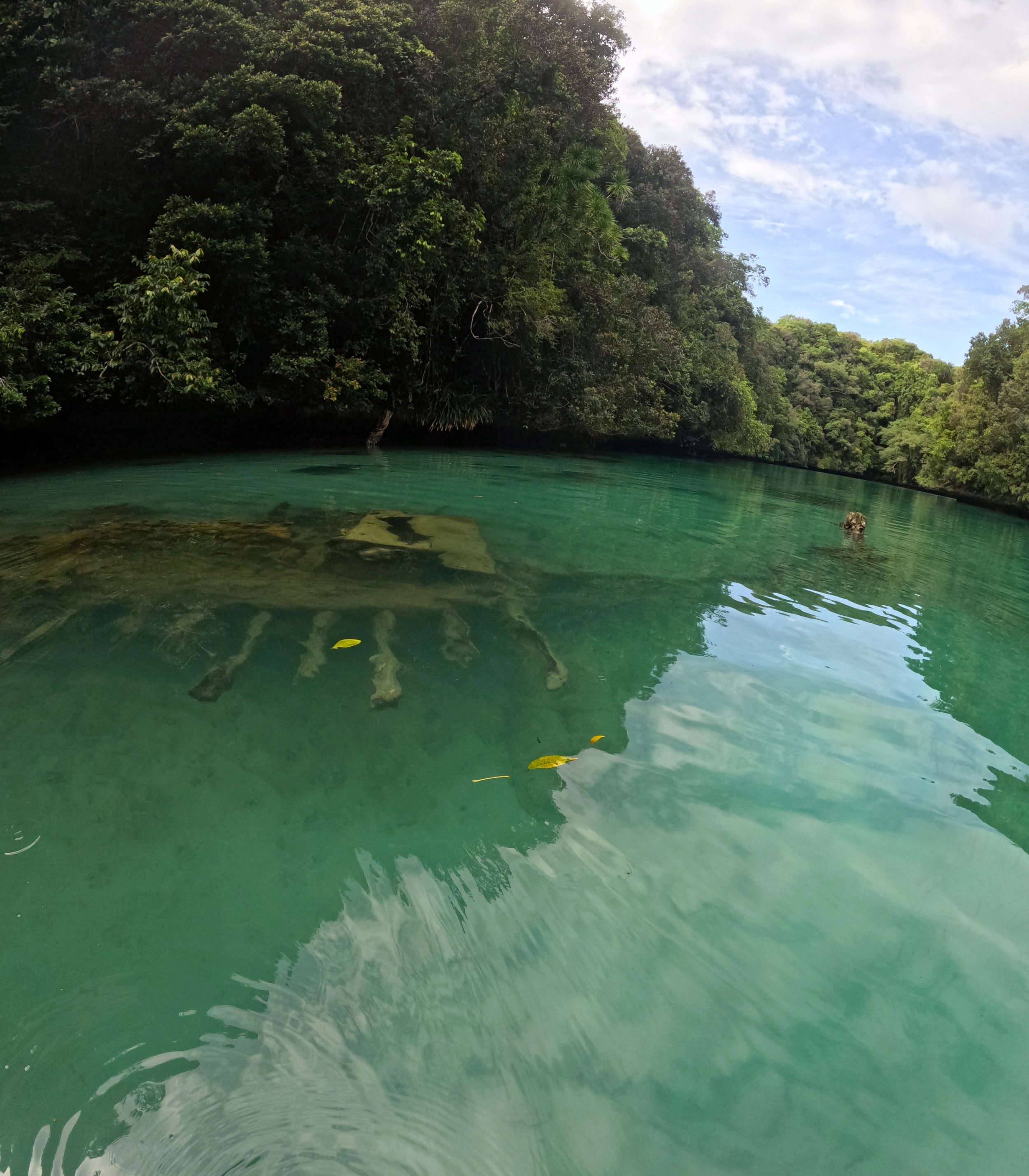 WWII wrecks in Palau