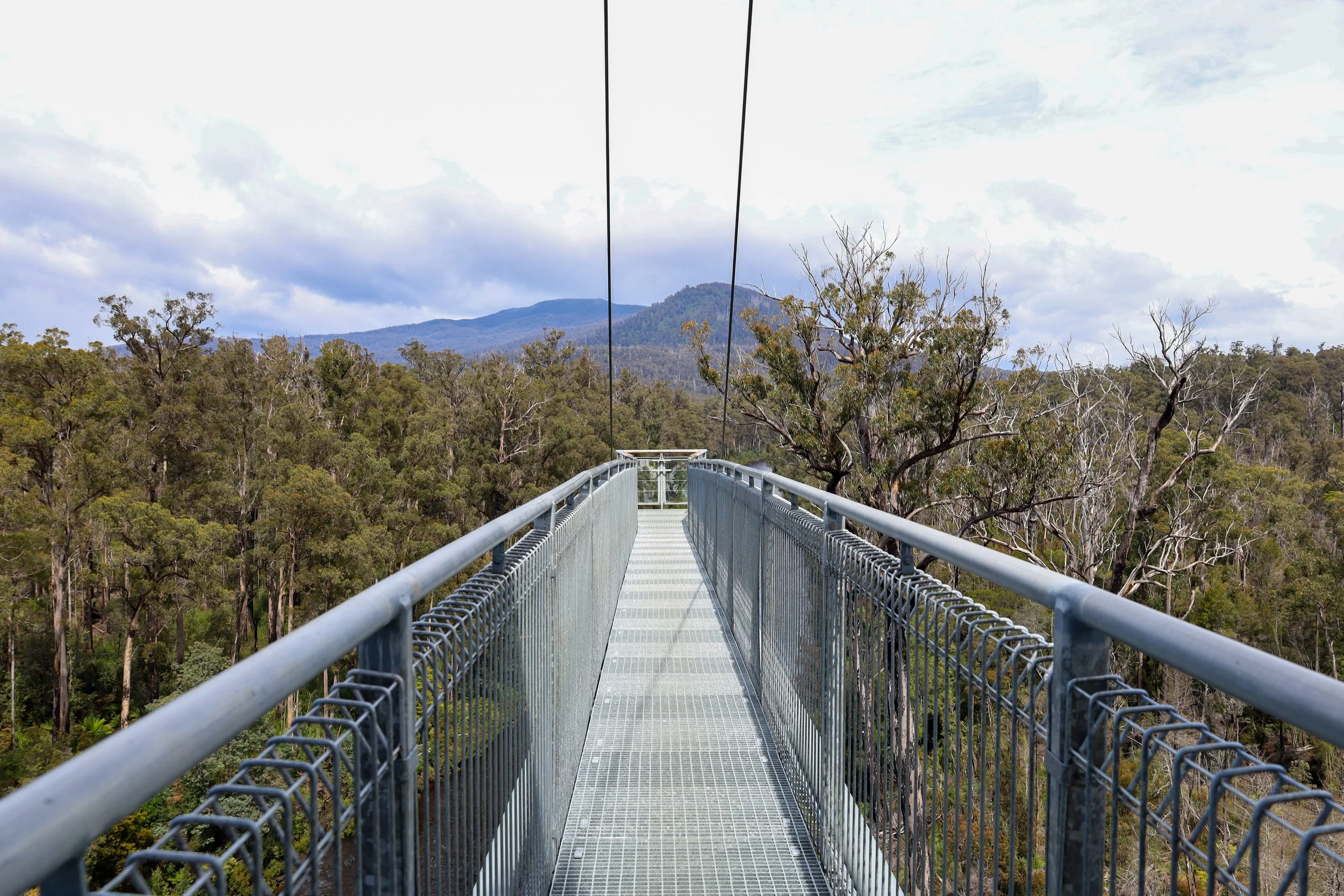 Tahune Forest AirWalk, Tasmania