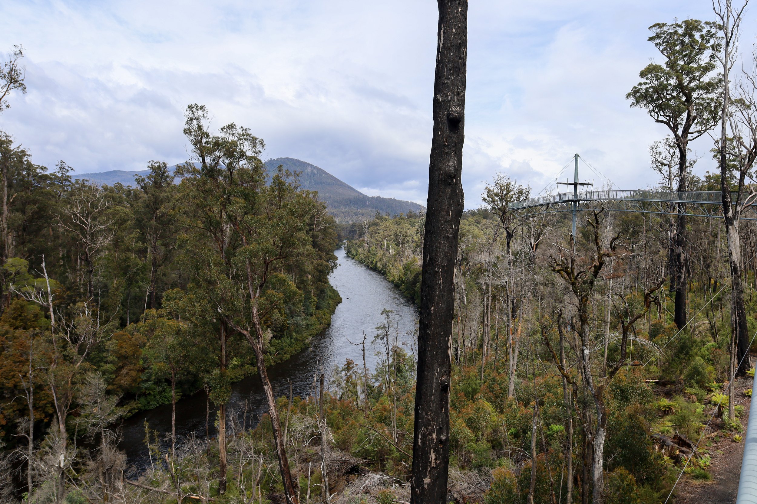 The views on the Tahune AirWalk, Tasmania